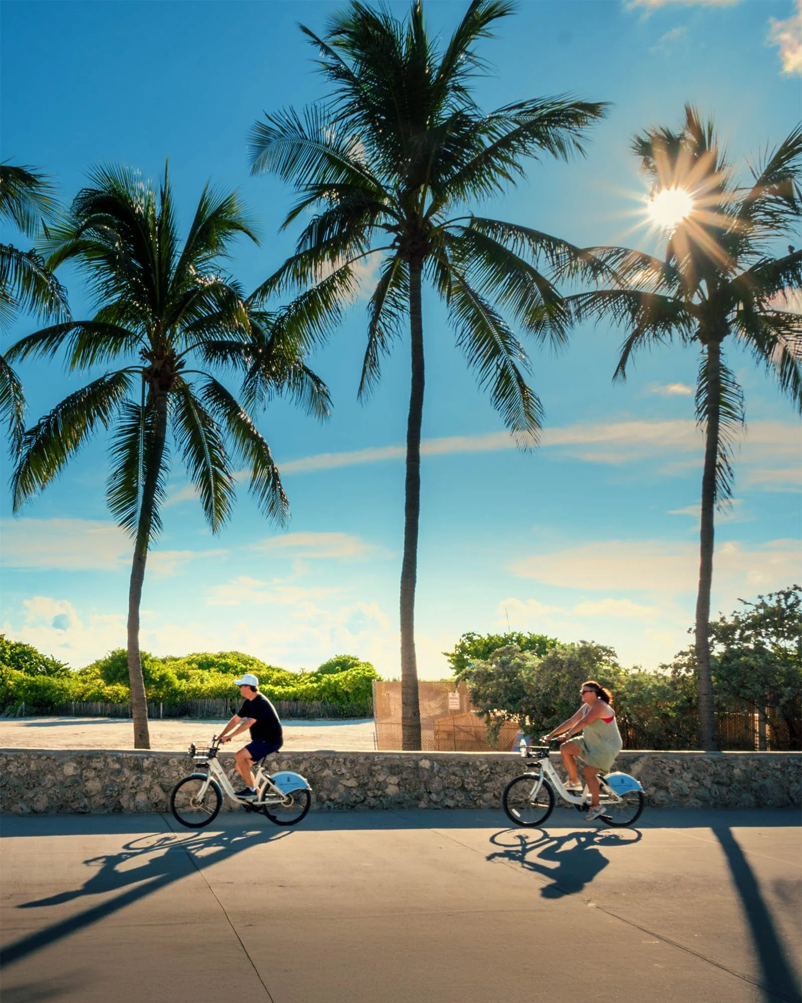 Two cyclists on the path under palm trees, midday sun flare in the fronds, Lummus Park South Beach