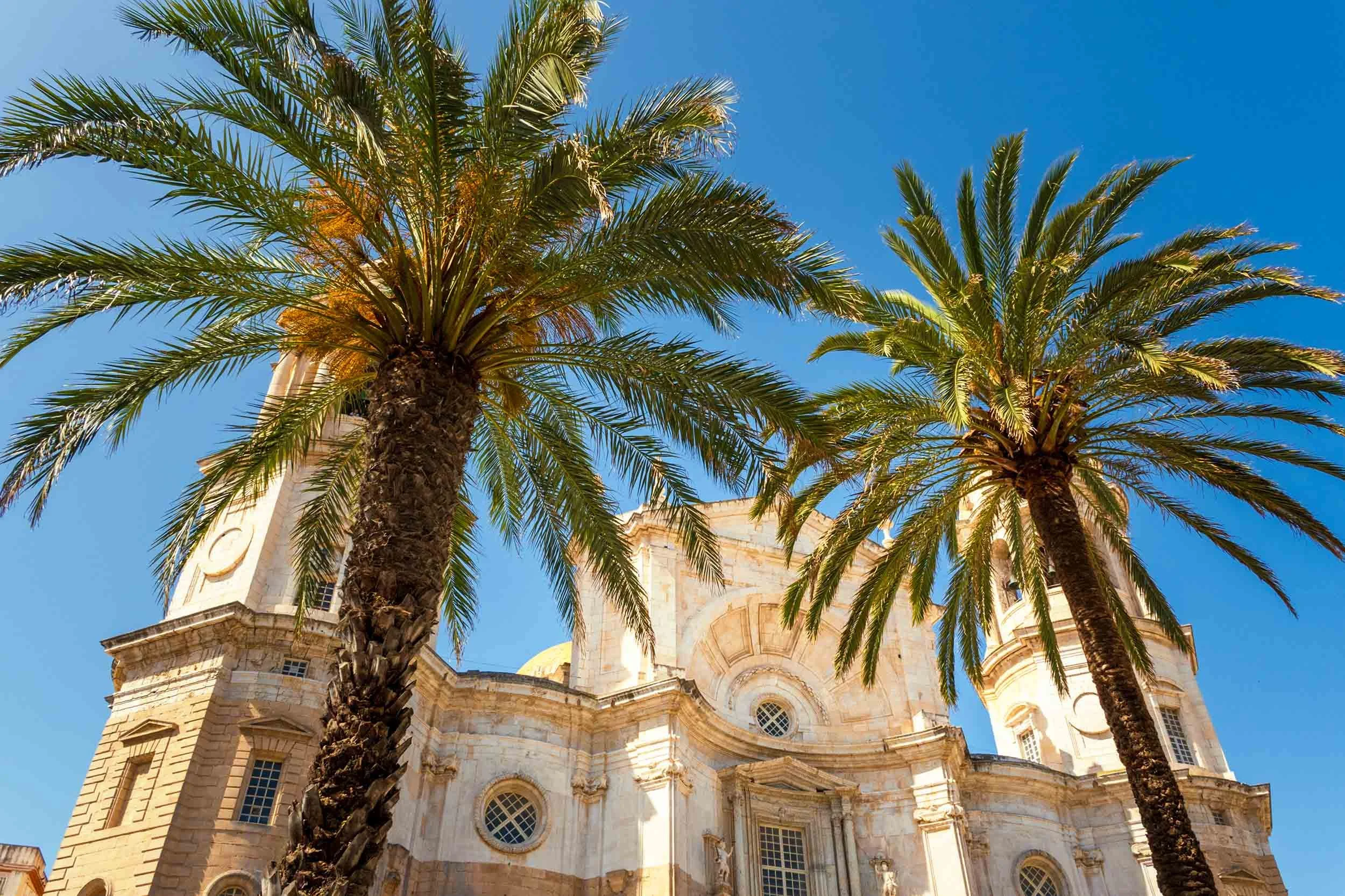 Cadiz Cathedral Spain baroque architecture palm trees blue sky landmark travel destination Andalusia