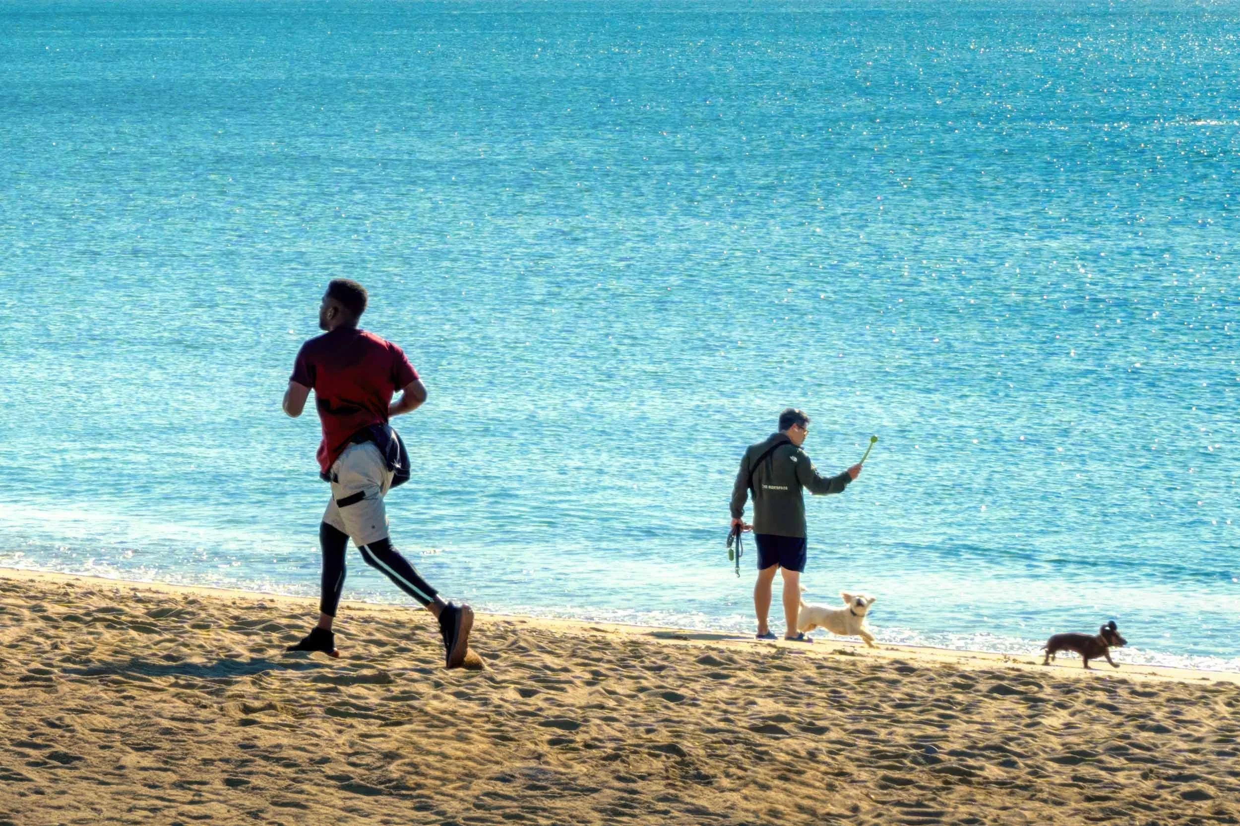 Jogger in a red shirt running across the sand while a man throws a ball for two dogs at the water's edge on a Barcelona beach