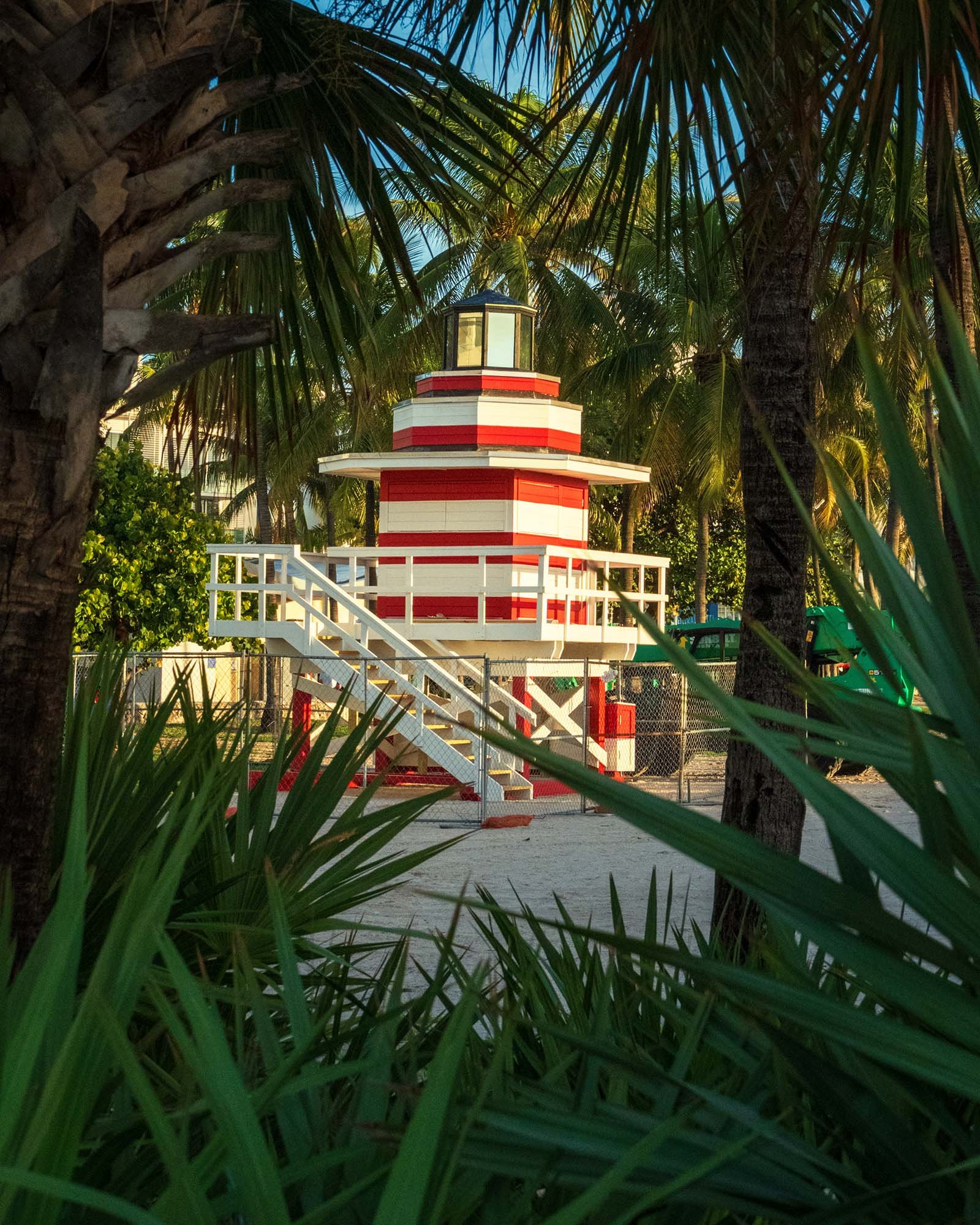 New Jetty lifeguard tower seen through palm fronds in Lummus Park before installation