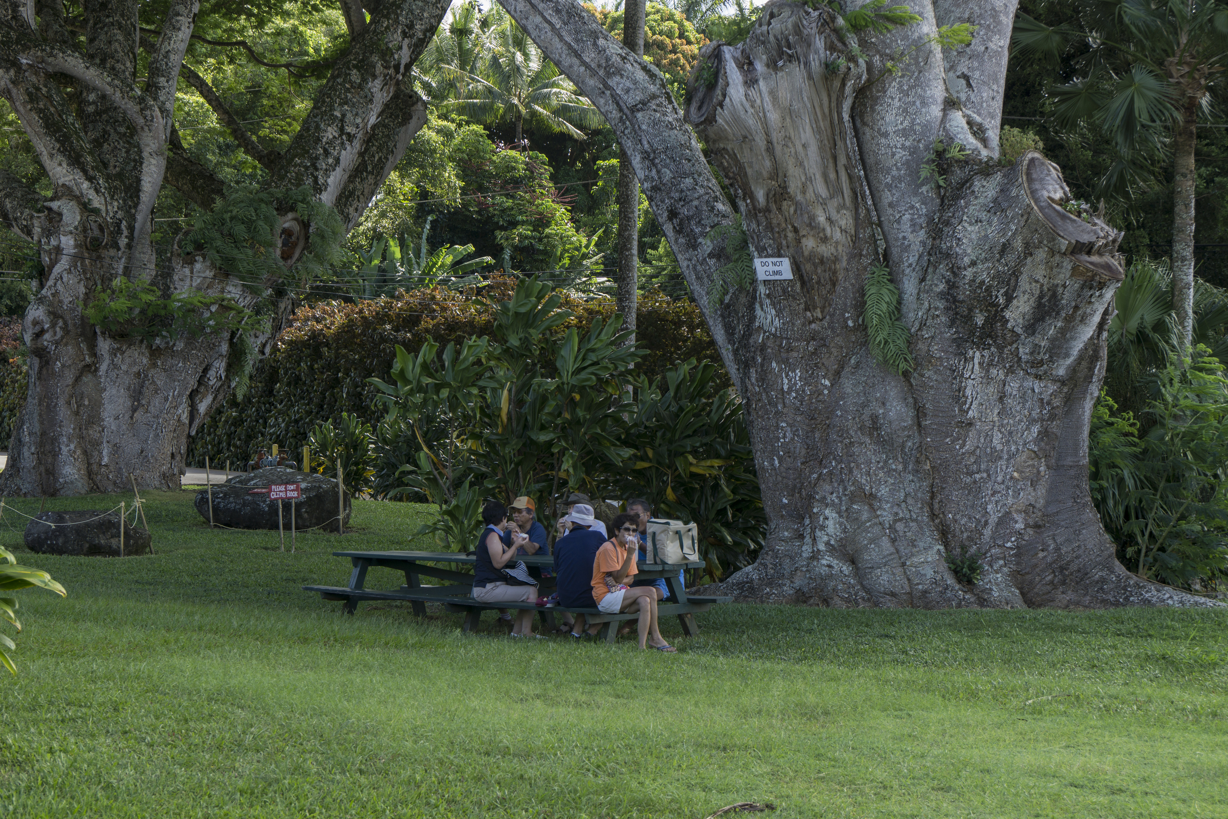 20150916-DSC01467.jpg