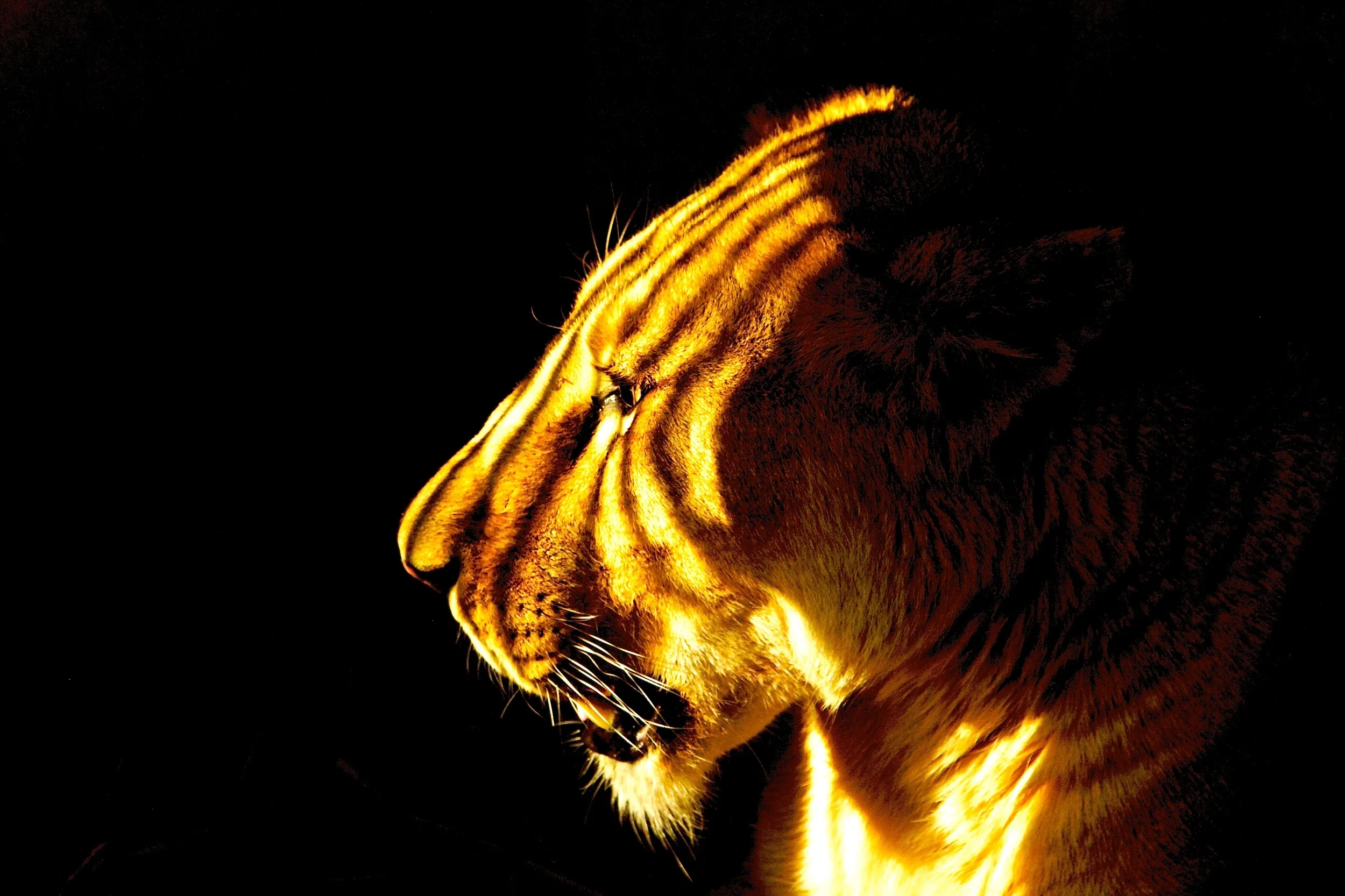 20080103_419.jpg