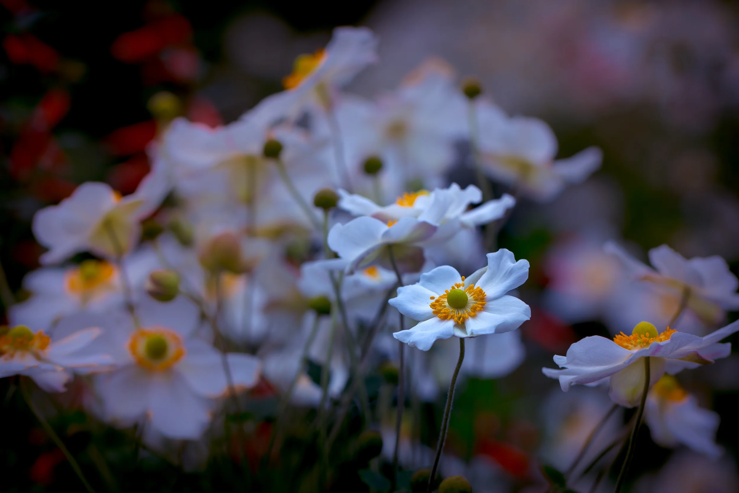 20131013-12660.jpg