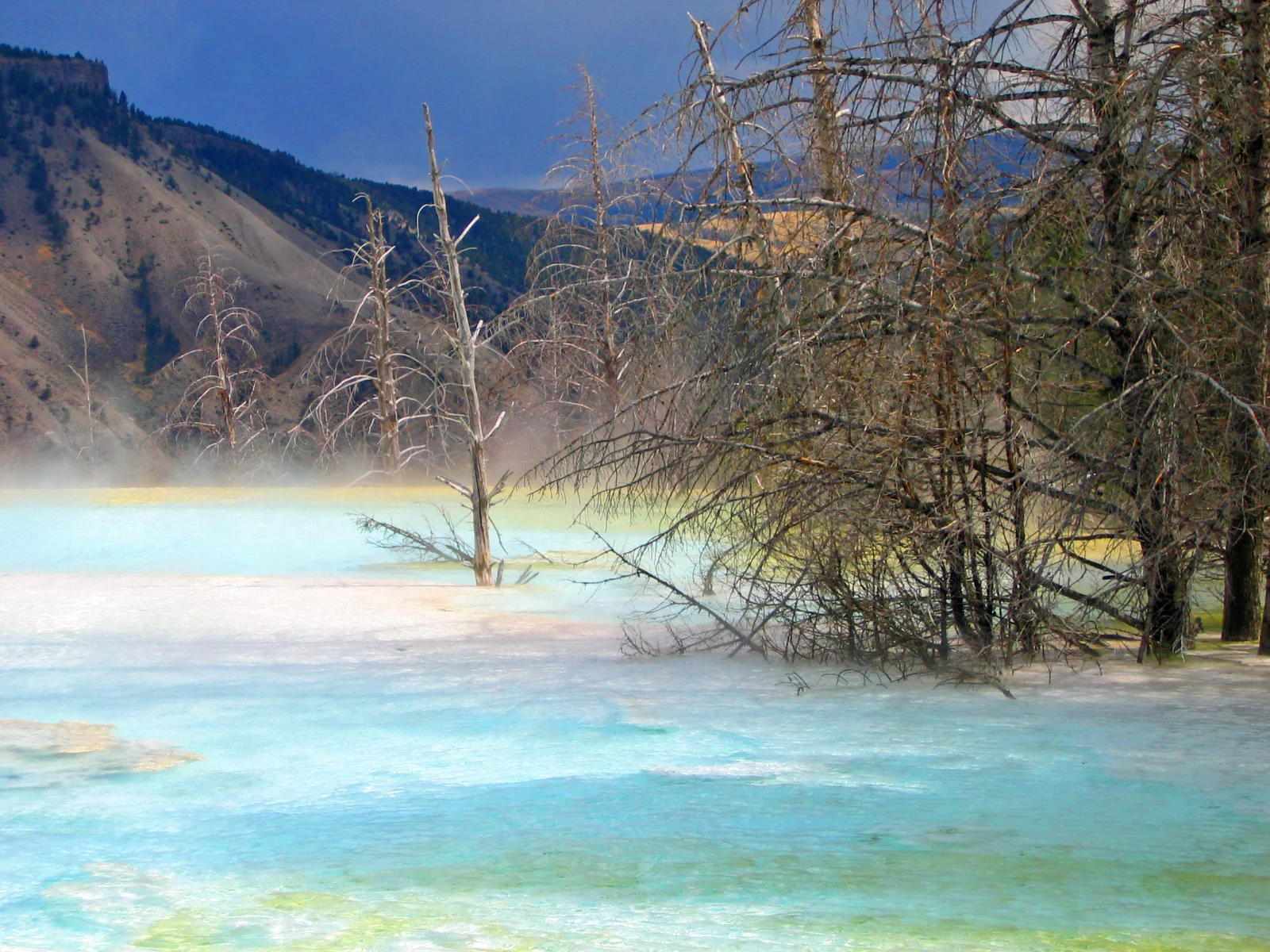 2005-09-16, Yellowstone3 032_edited-1.jpg
