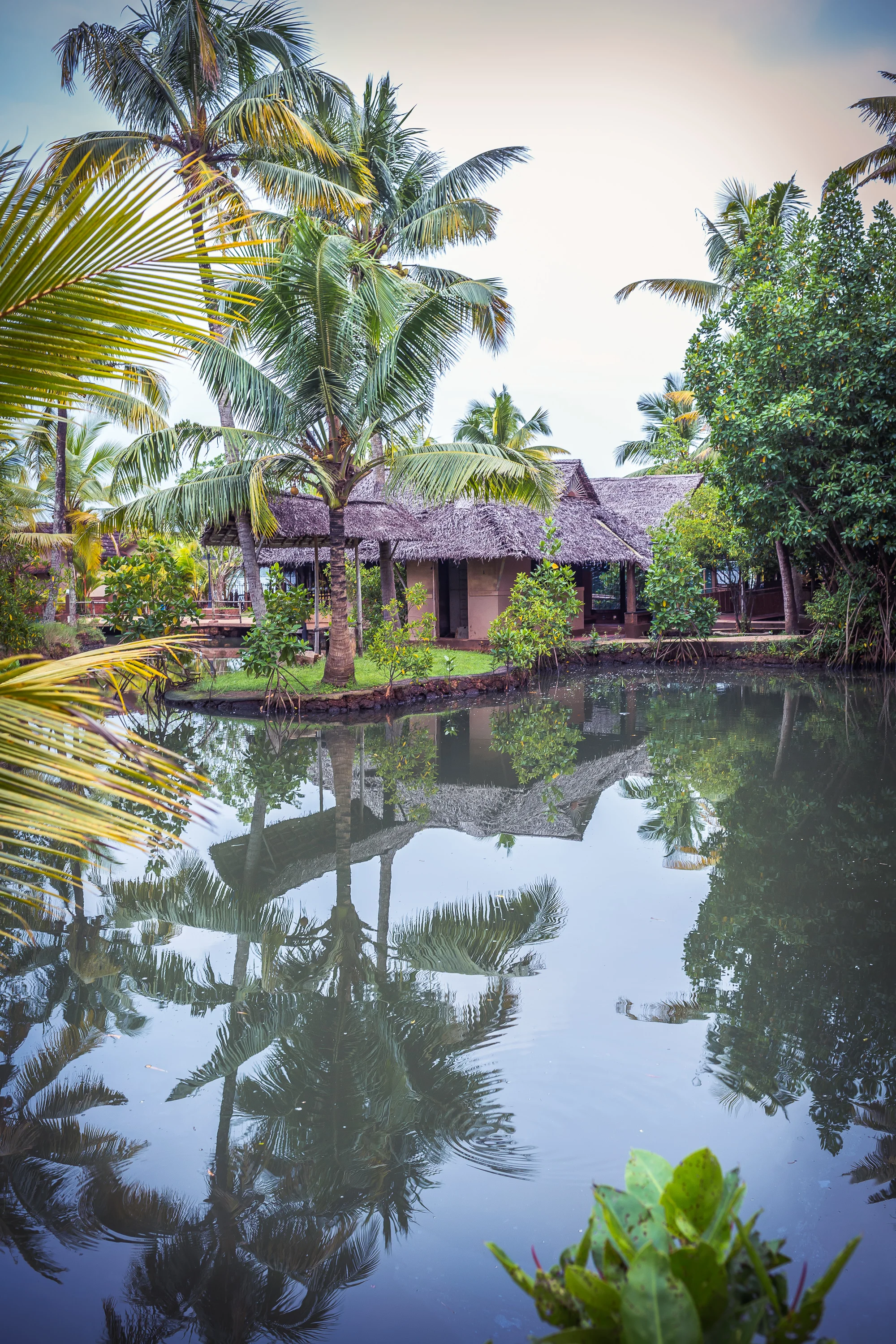 Reflections in the backwater
