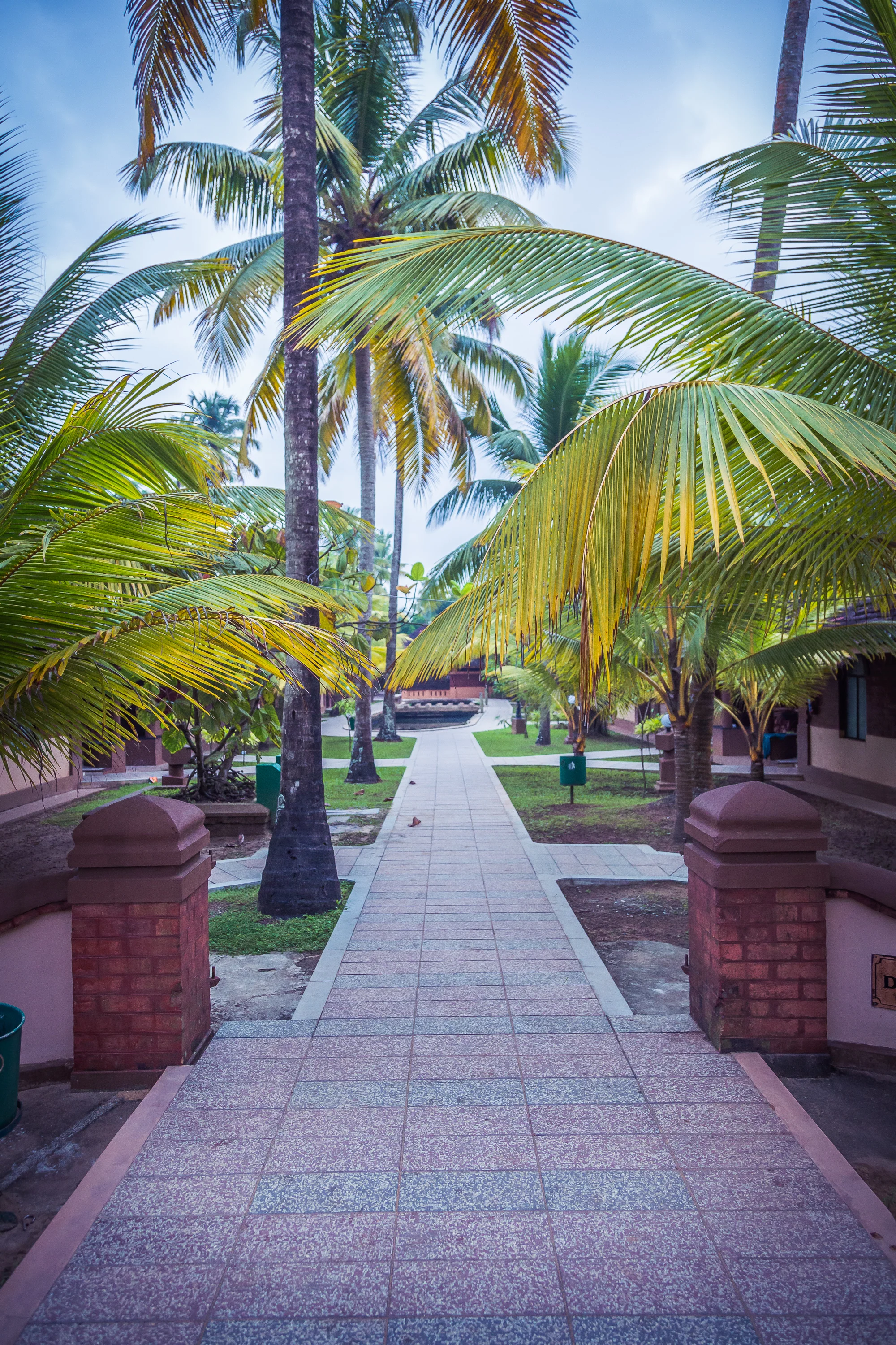 20141004-27044.jpg