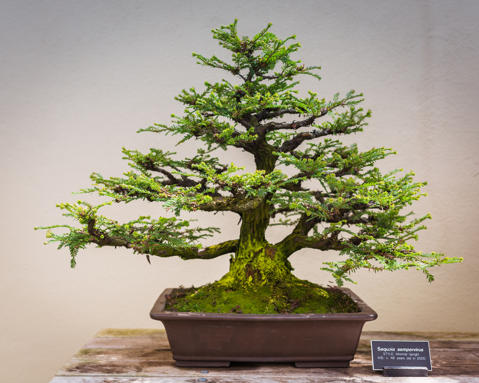 20140426-18621.jpg