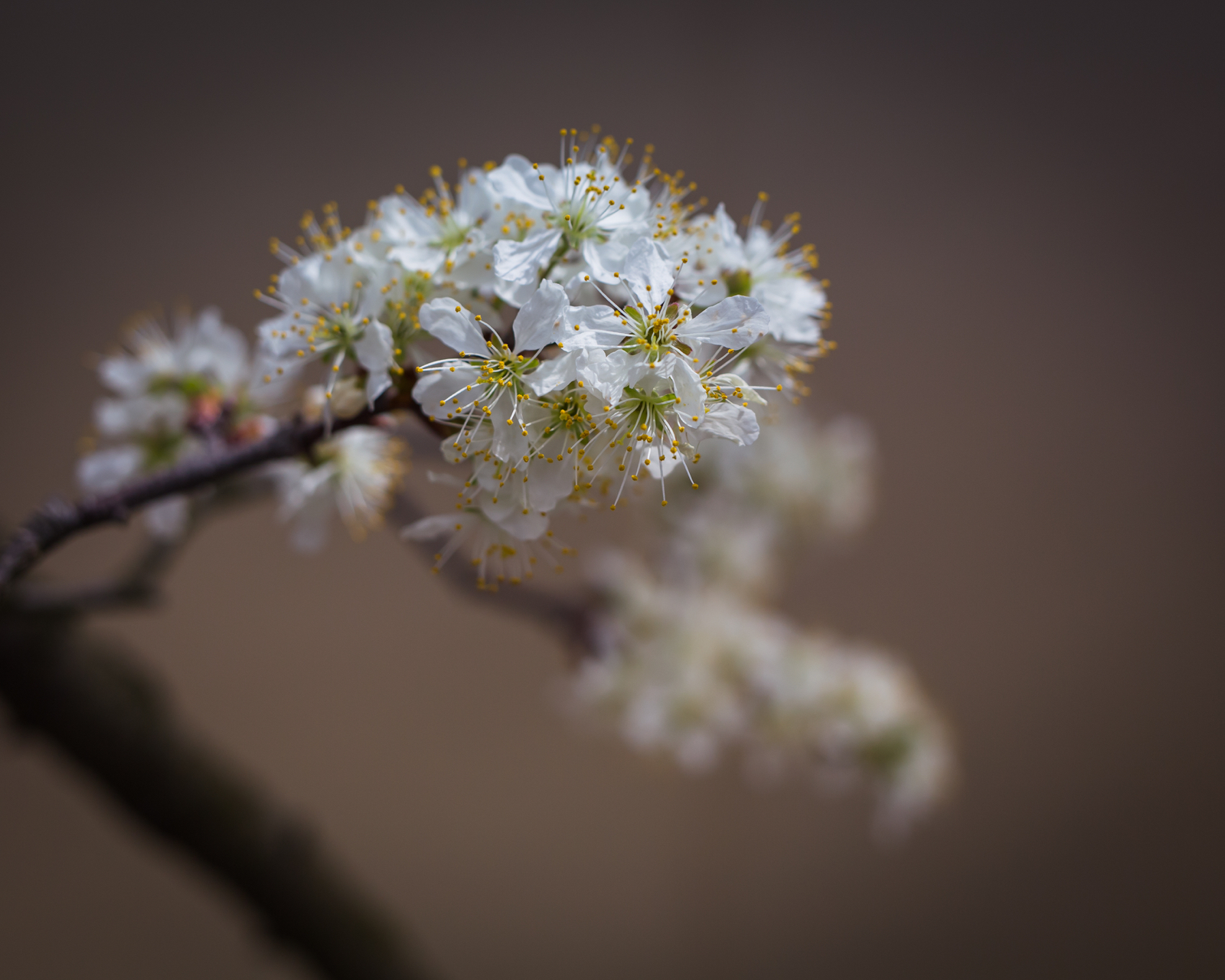 20140426-18629.jpg