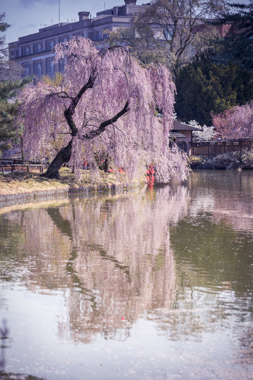 20140426-18575.jpg
