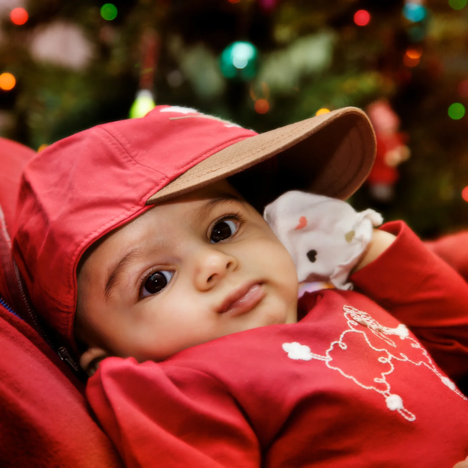20091225-18867.jpg
