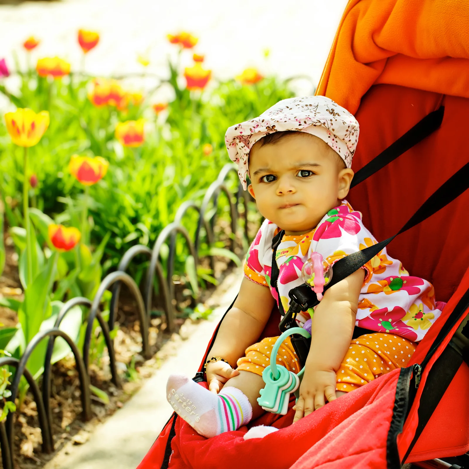 20100411-10989.jpg