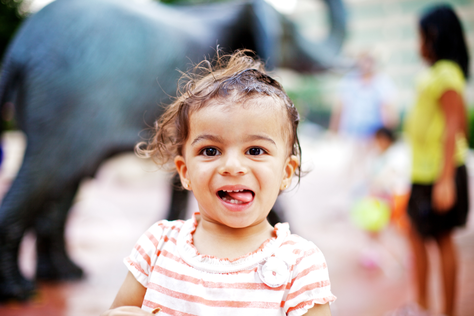20110601-02496.jpg