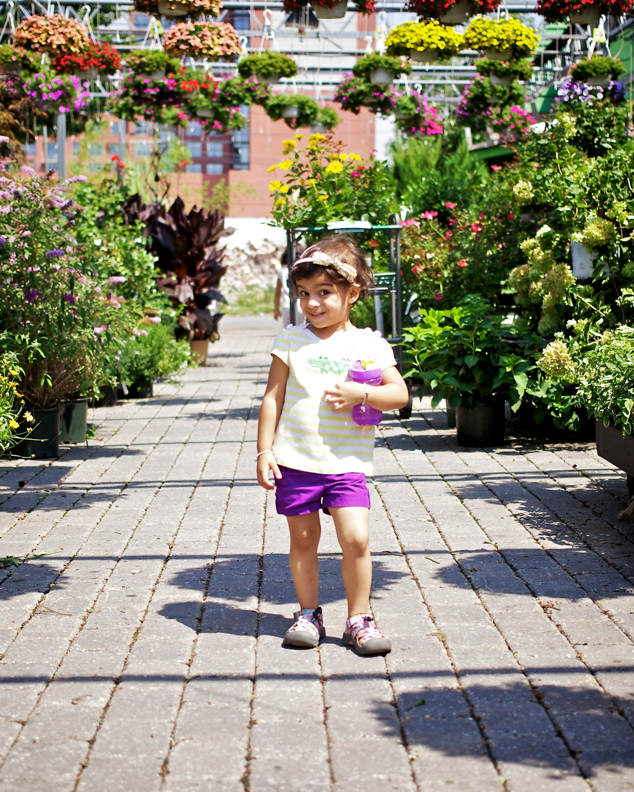 20120804-03592.jpg