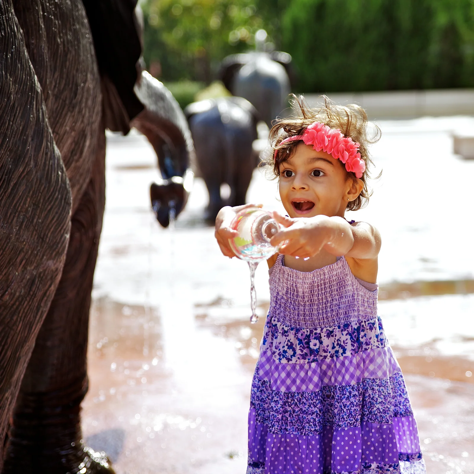 20120922-05515.jpg