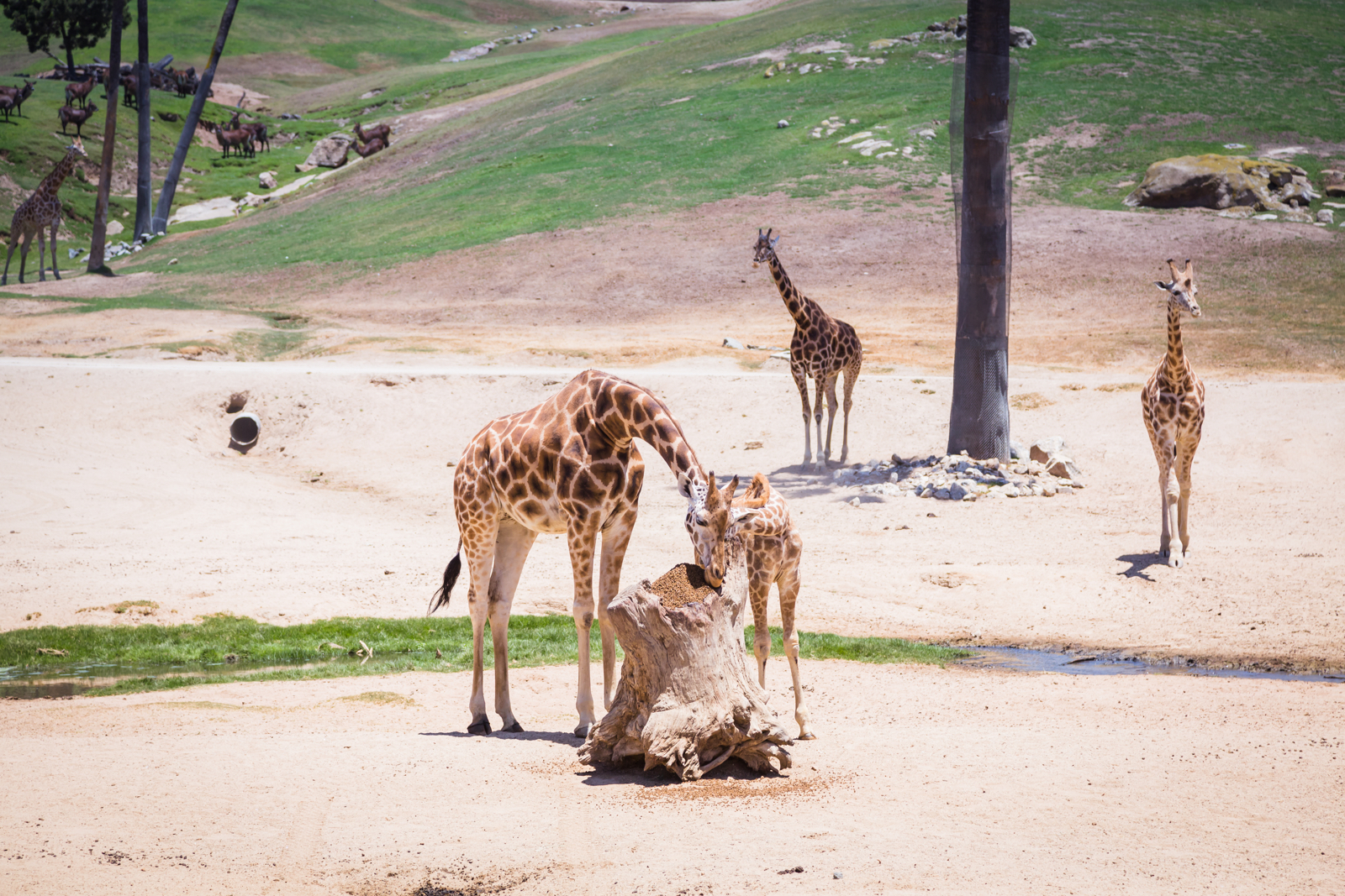 20140629-21601.jpg