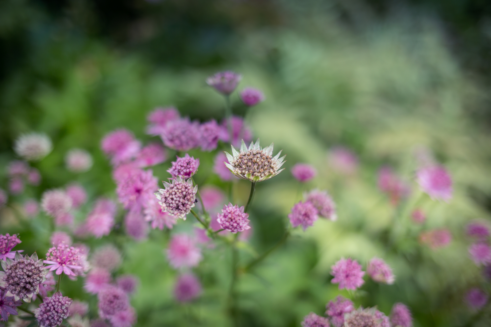20140622-21040.jpg