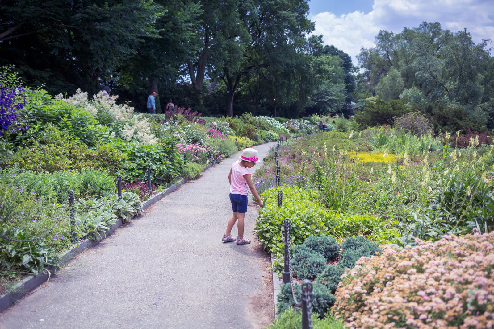 20140622-21044.jpg