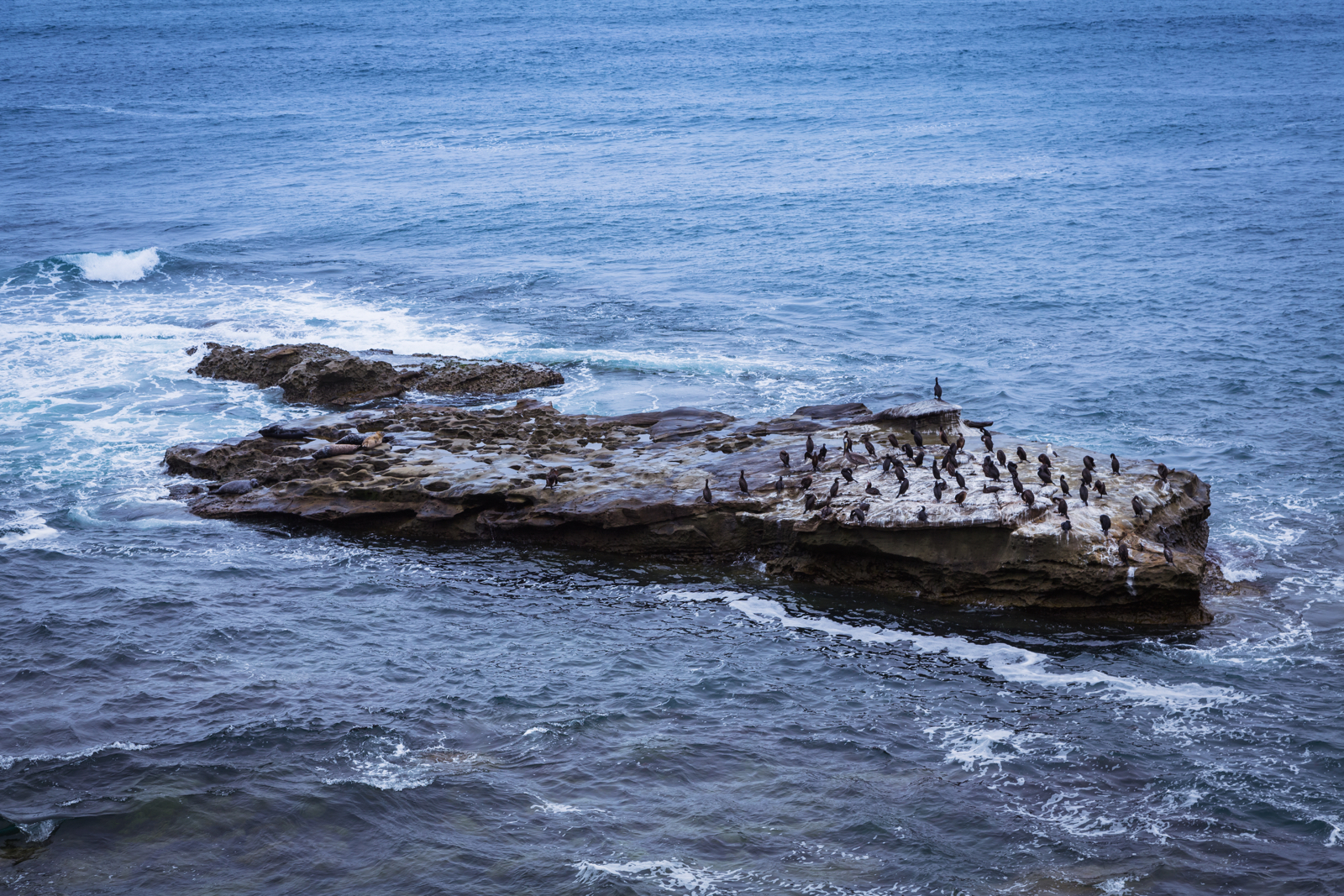 20140627-21162.jpg