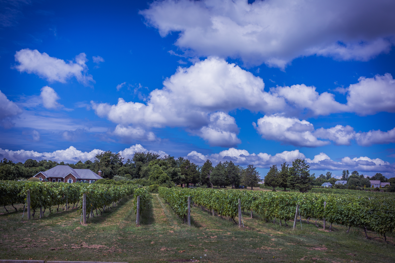 20140823-23476.jpg