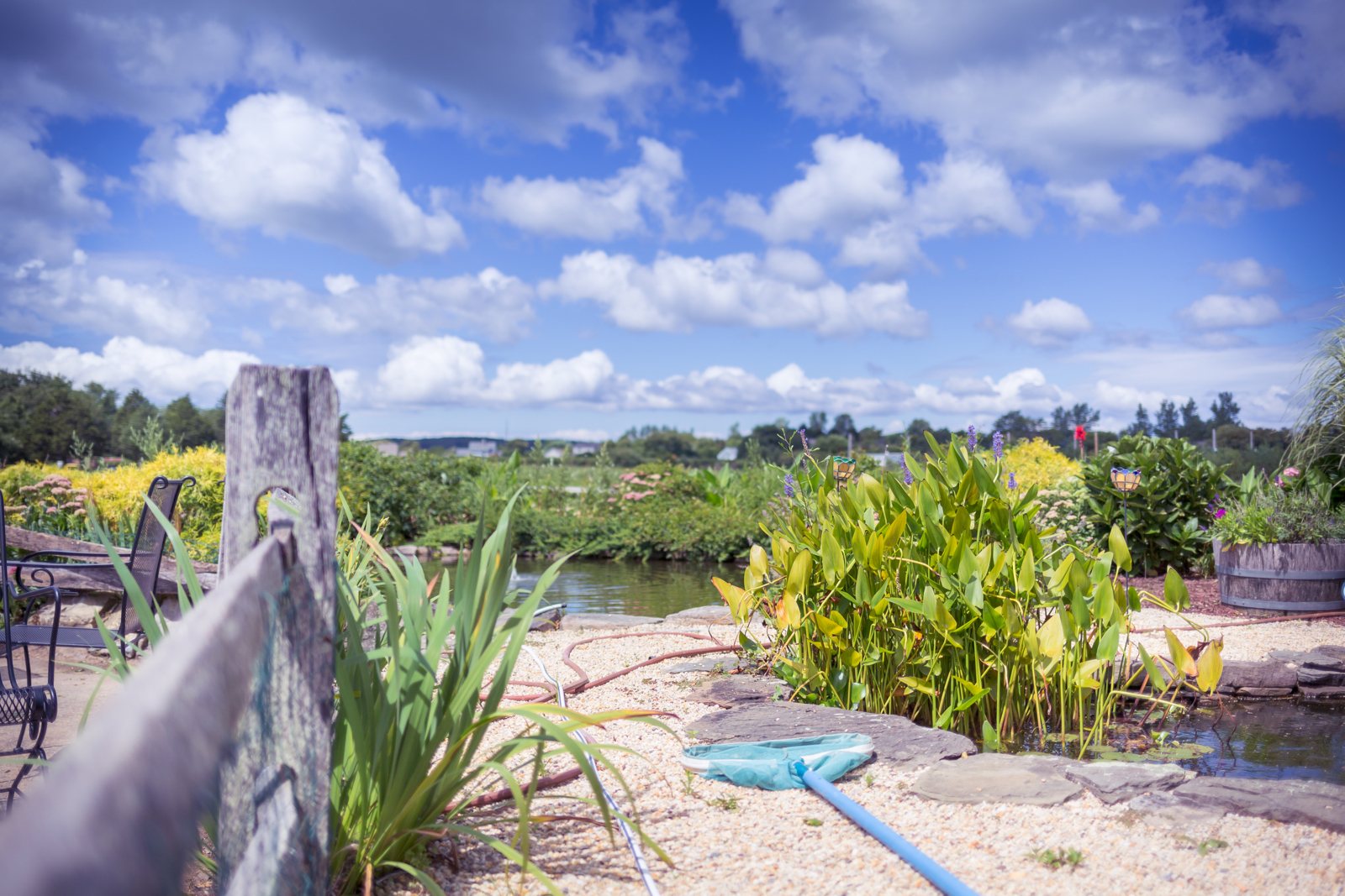 20140823-23489.jpg