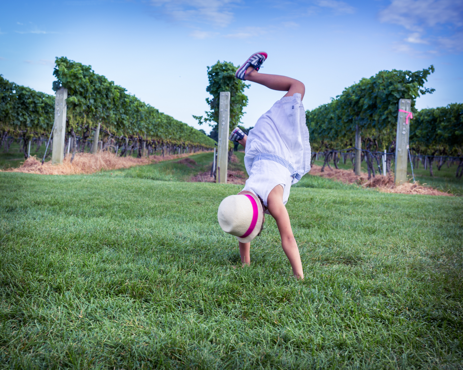 20140823-23773.jpg