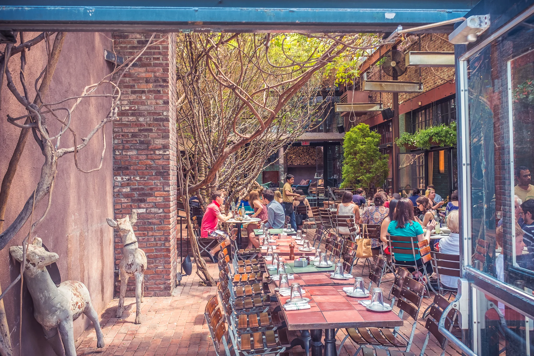 20150531-04598.jpg