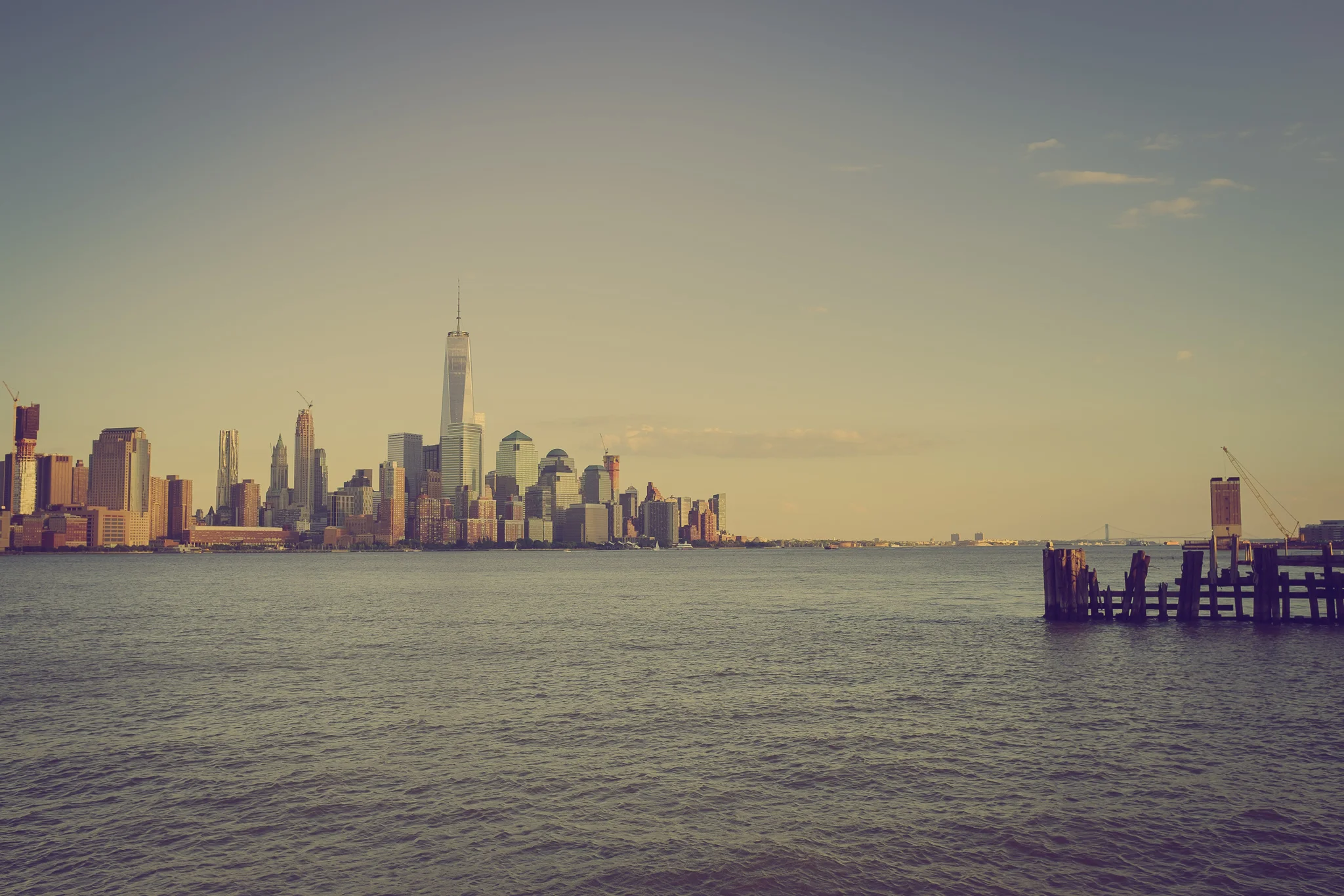 20150801-09612.jpg
