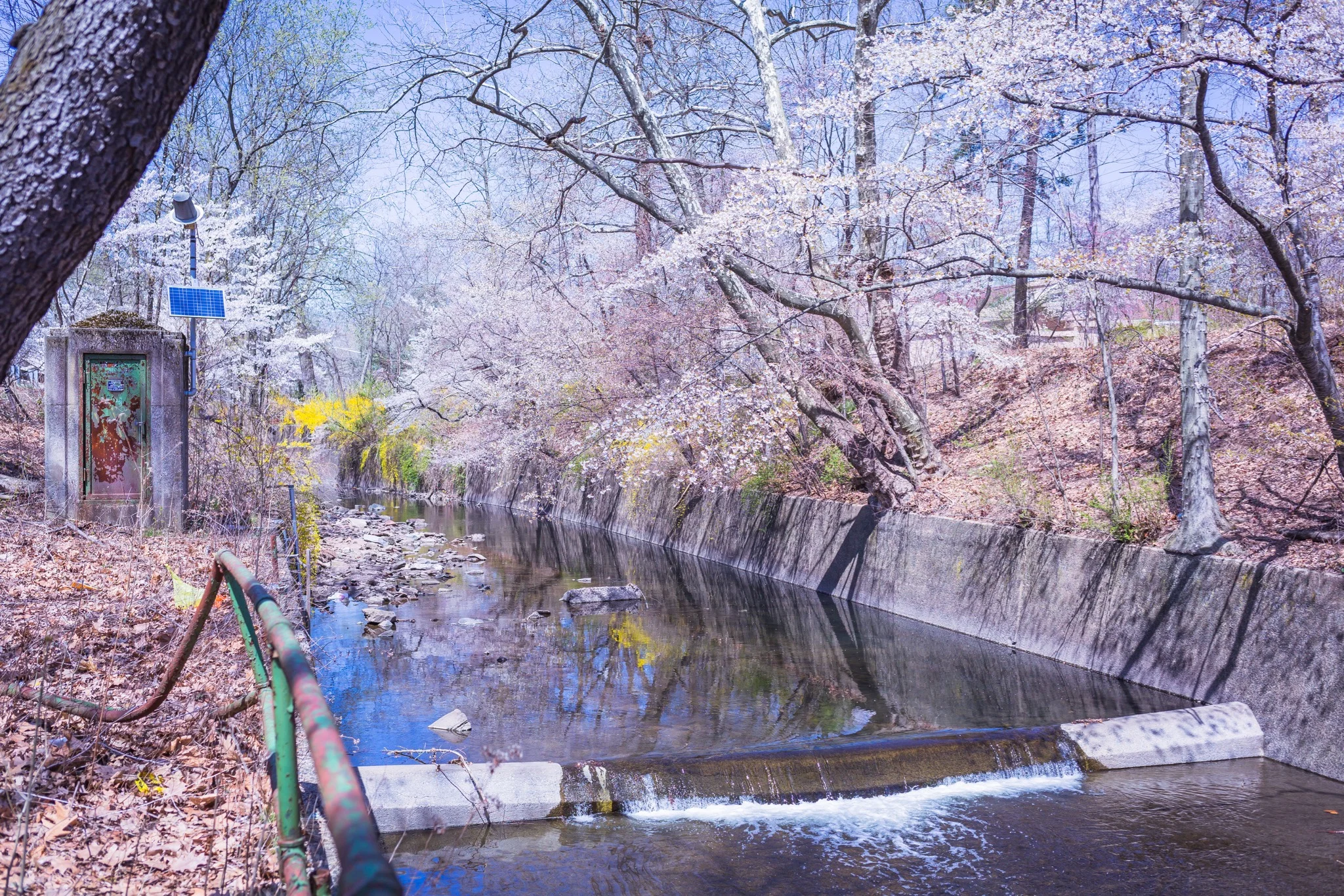 20140420-18495.jpg
