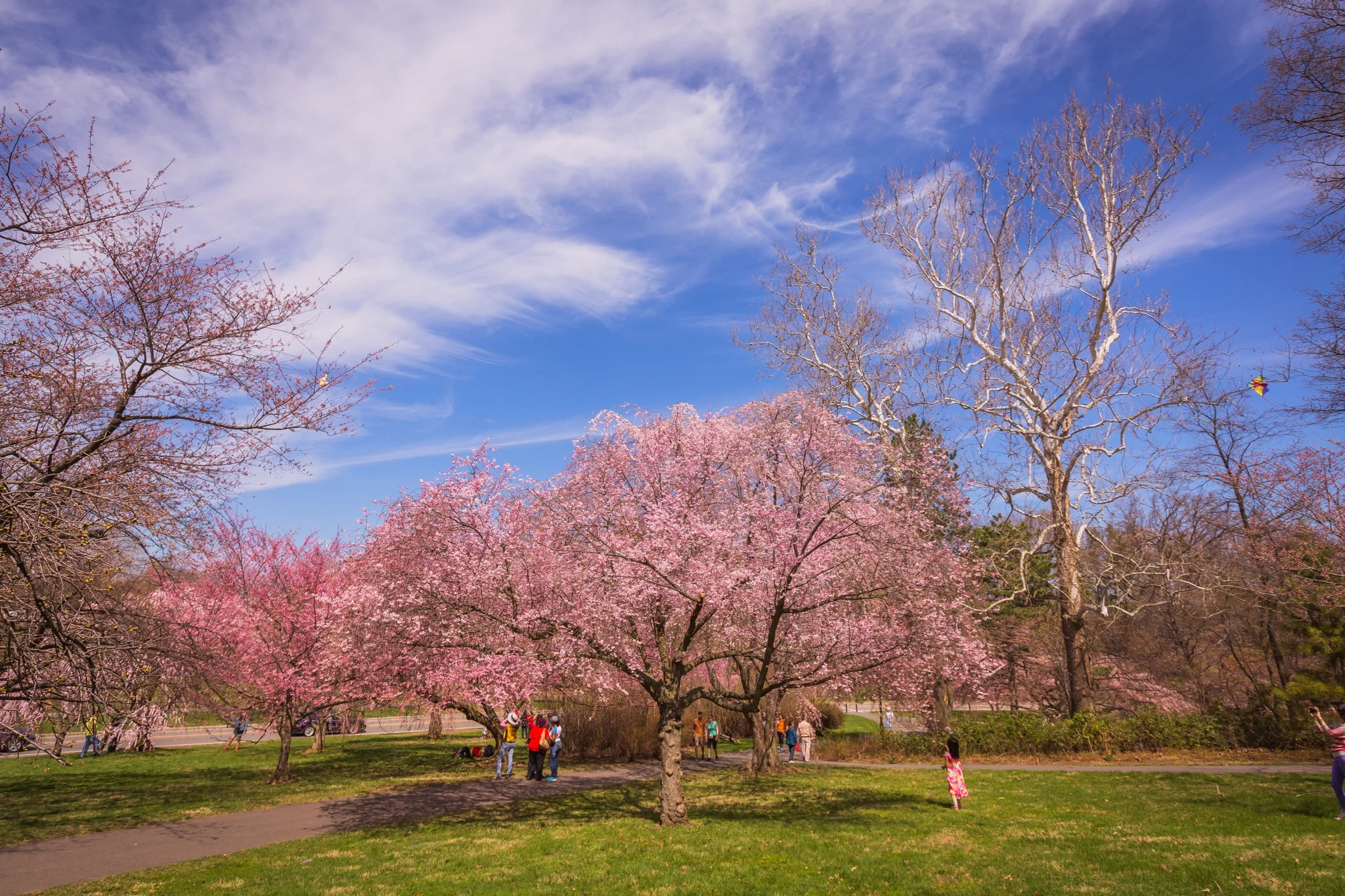 20150418-01673.jpg