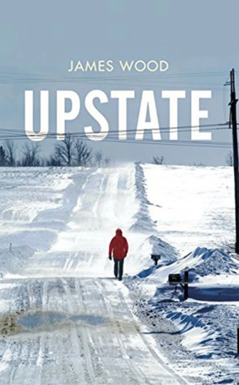 upstate_a-novel_james-wood.jpg