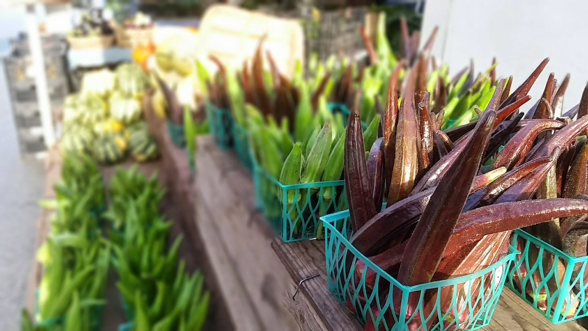 Okra!