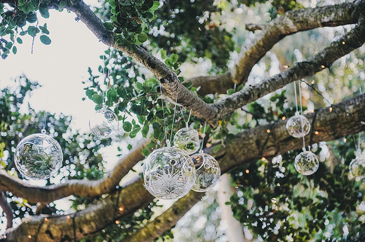 lisalefringhousephotography_silverman025.jpg