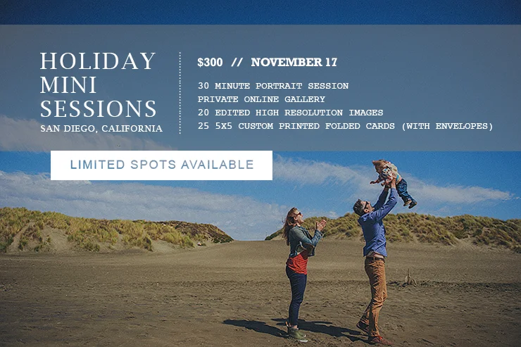 lisalefringhousephotography_holidayminisession.jpg