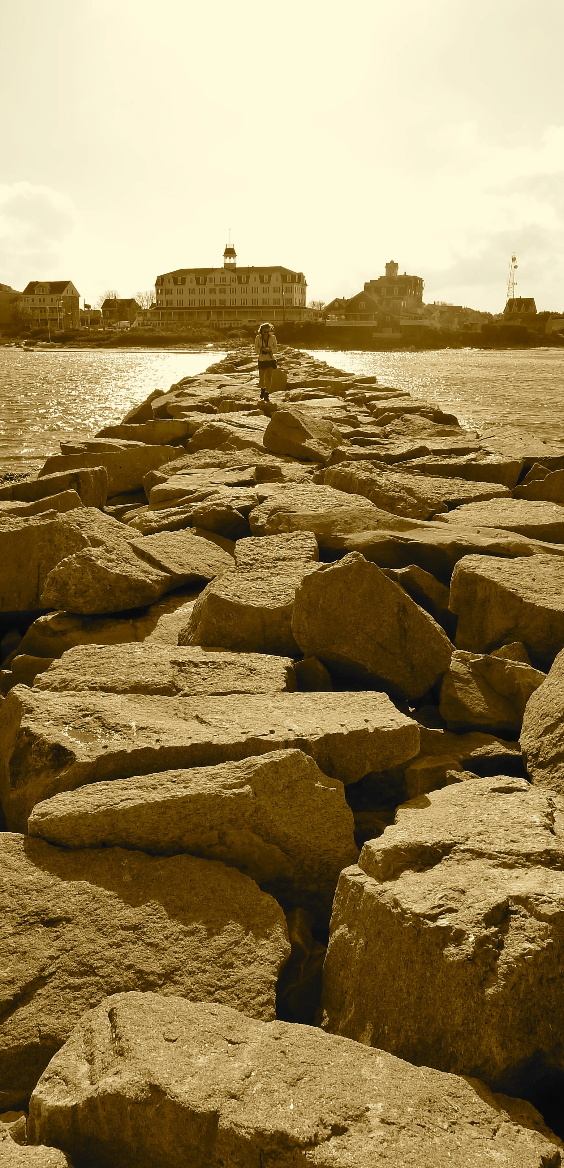 P1040657 - Version 2.jpg