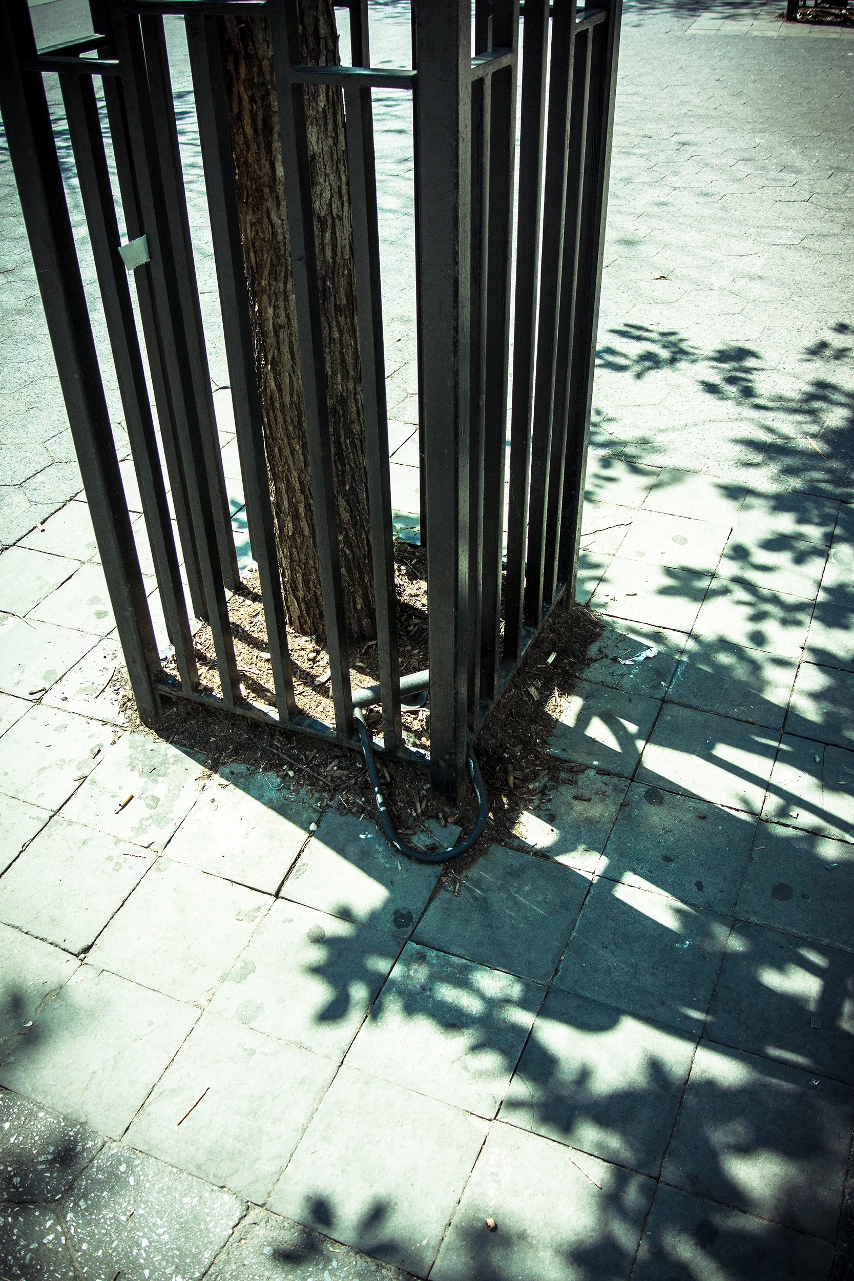 sized_048.jpg