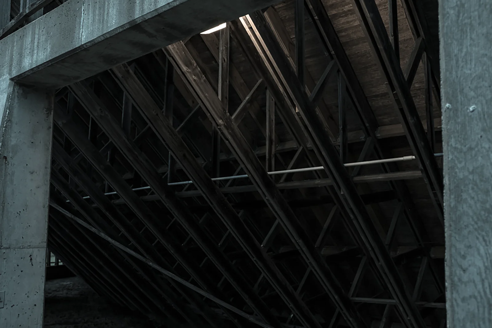 velo_02.jpg