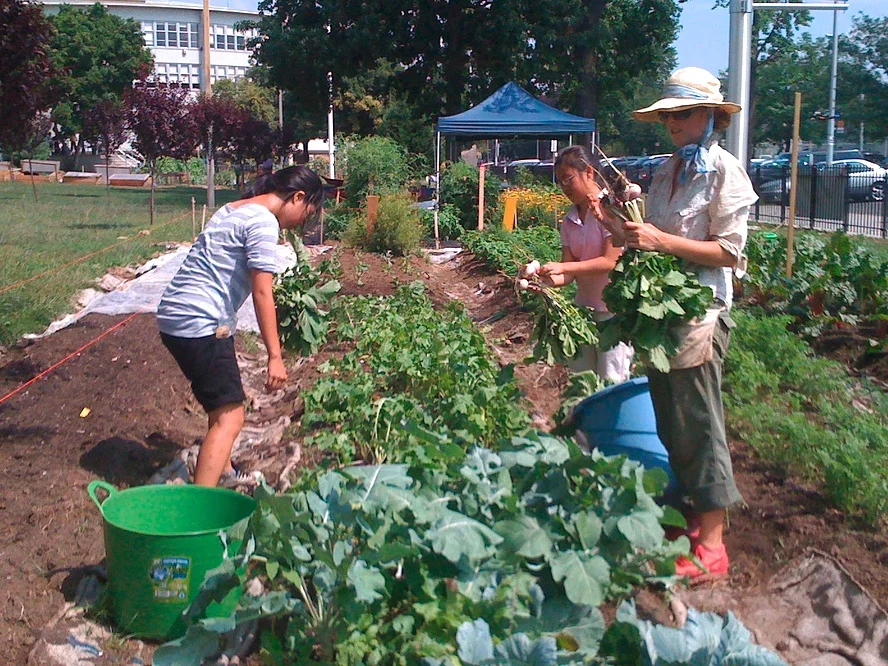 Food_Deserts_school_farm.jpg