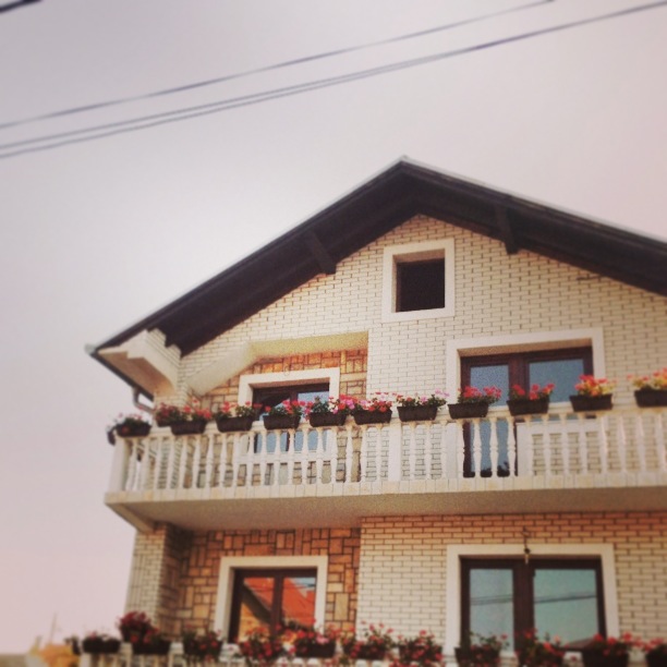 Cute House