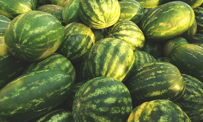 watermelon.jpg