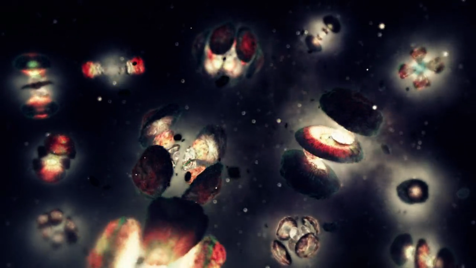 The prodigy of bio-motion design: SECOND POST: MRK