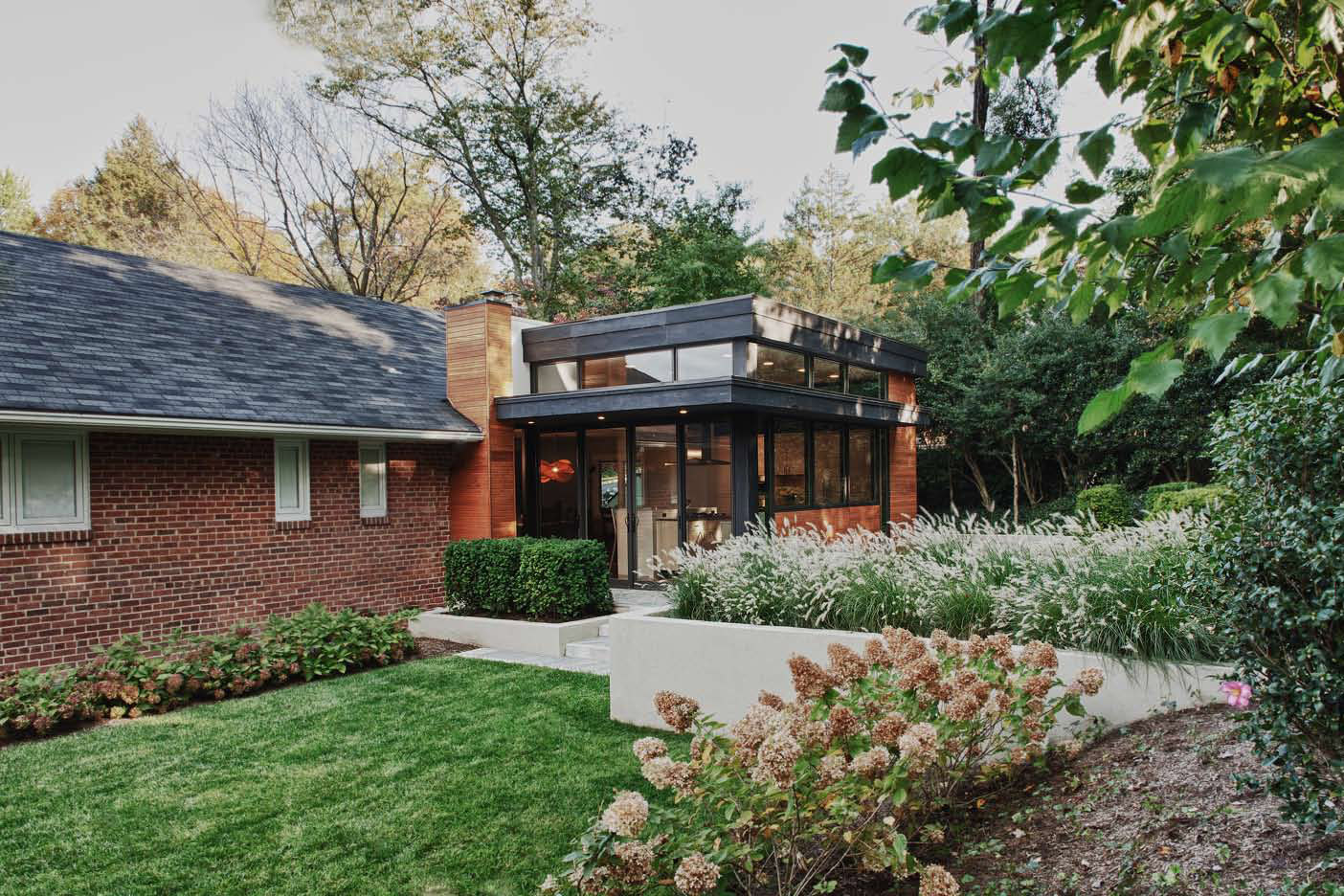 Exterior Daylight 2.jpg