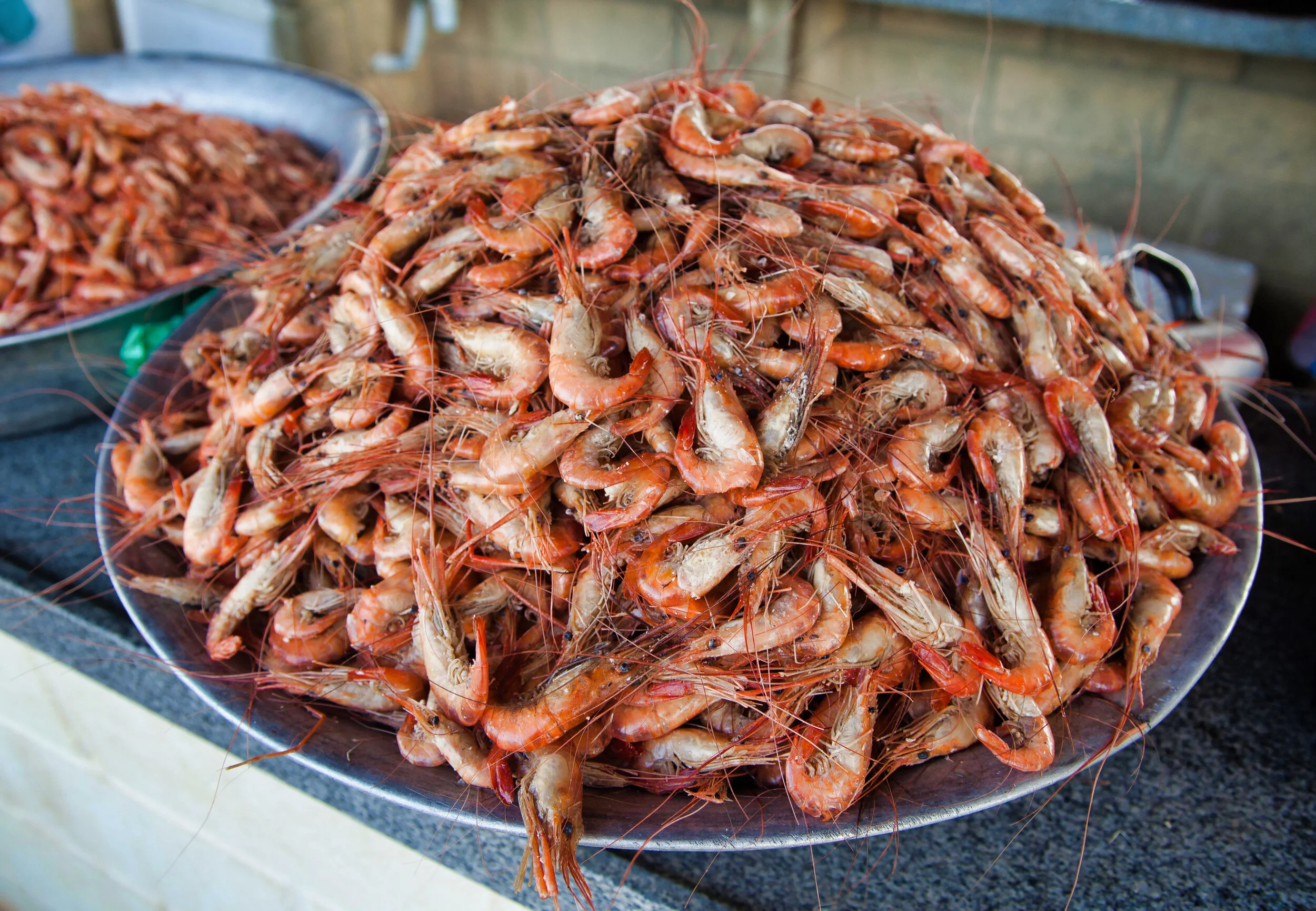 Camarão Seco_6686.jpeg