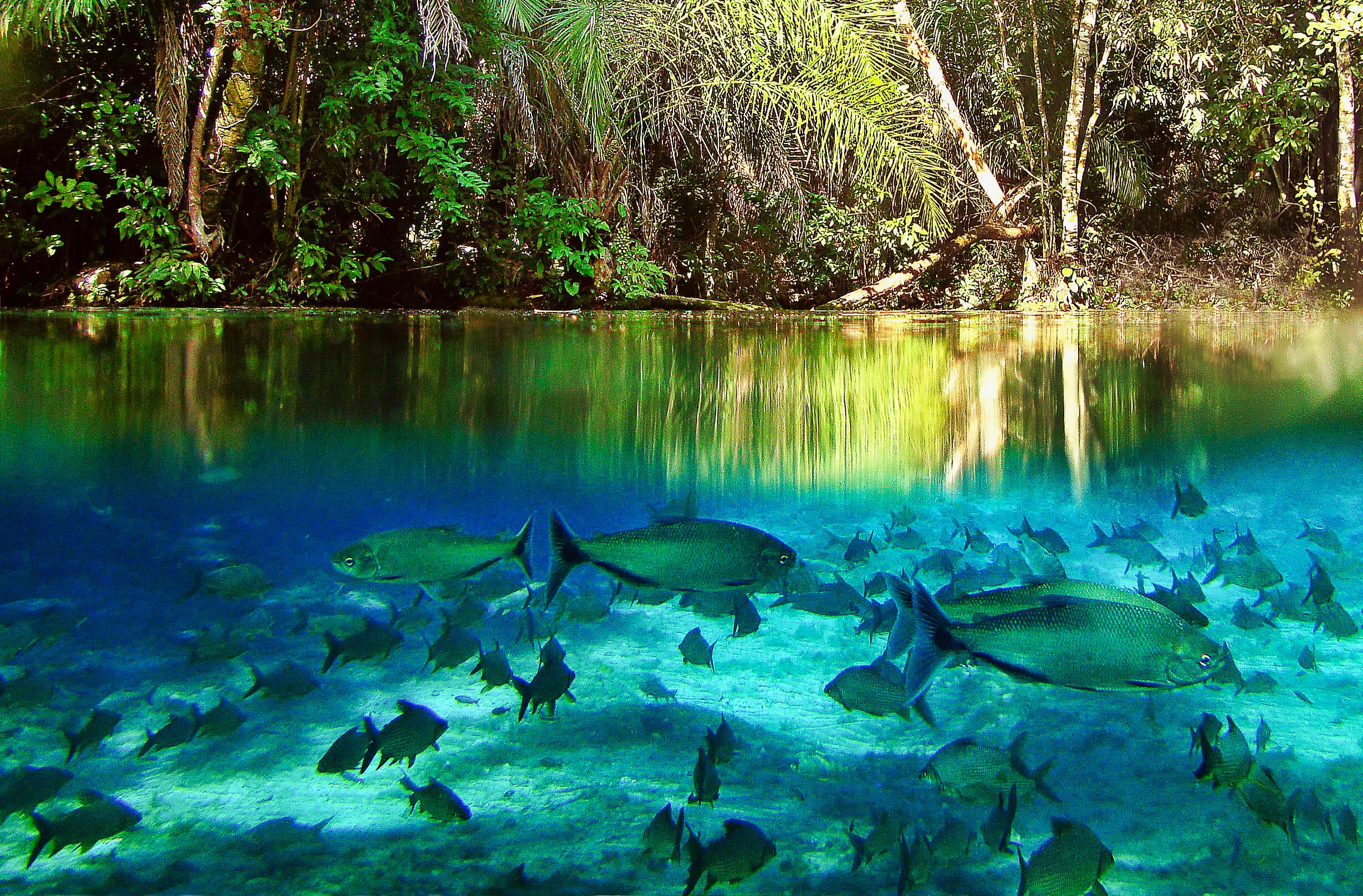 Bonito_Nascente Azul_05.13.jpeg