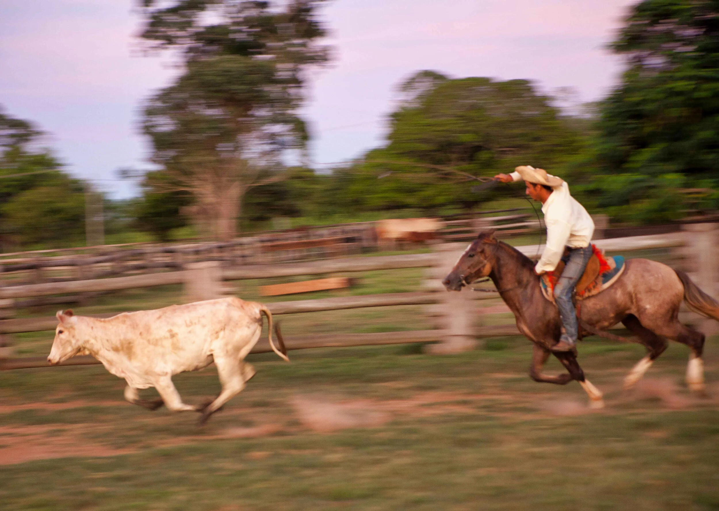 Cowboy do Pantanal-554.jpeg