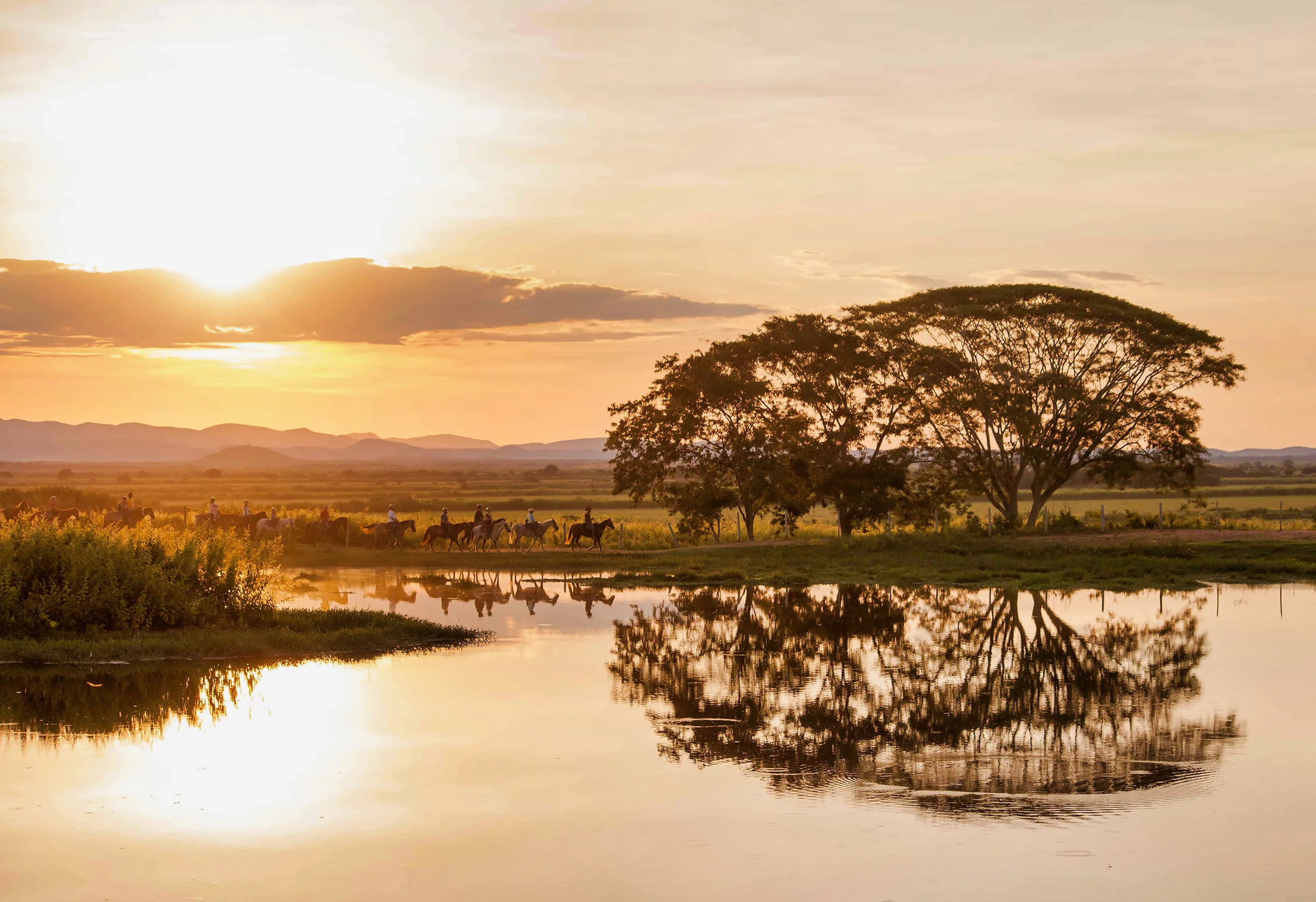 Faz. San Francisco-391.jpeg