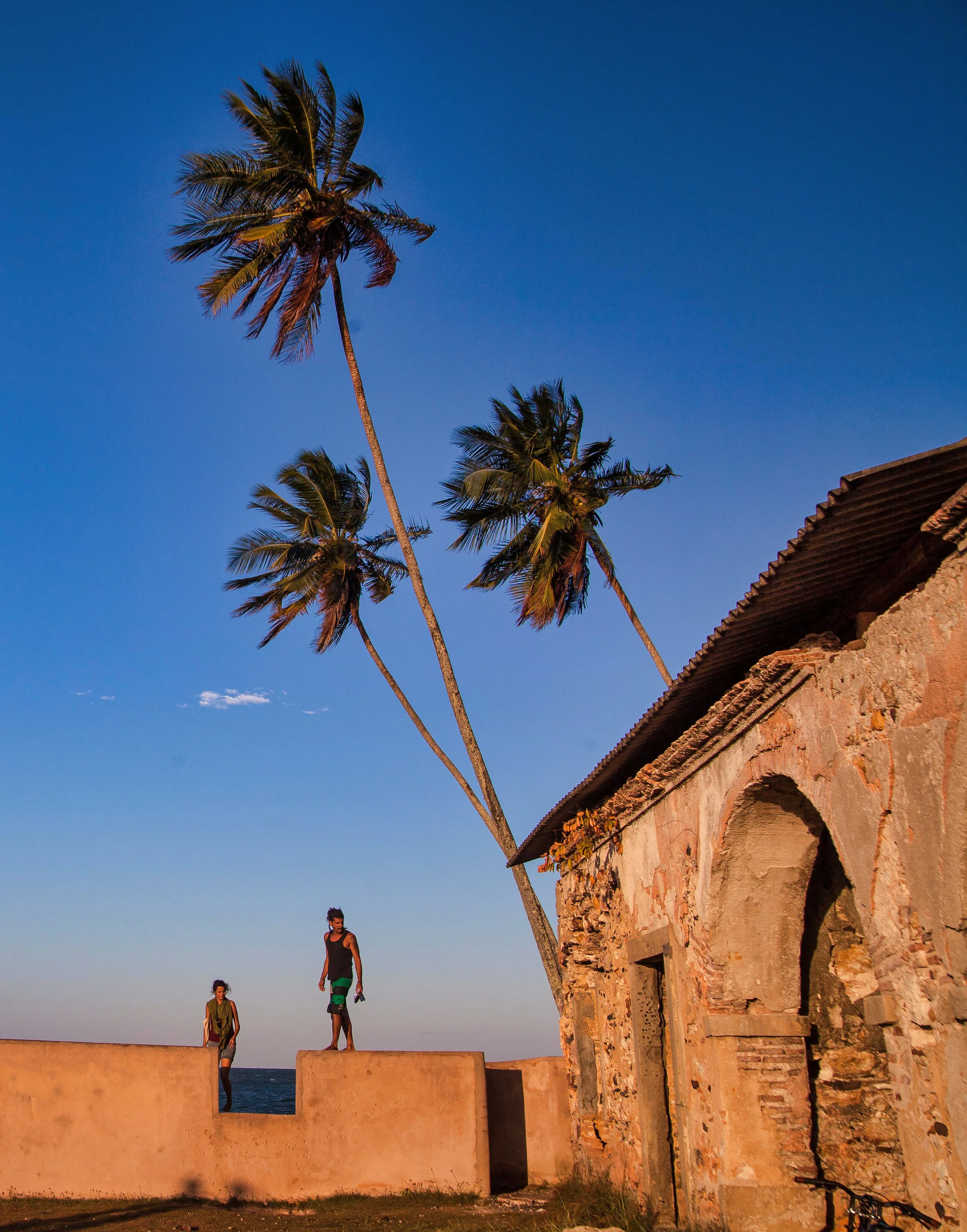 Forte em Morro de SP-2620.jpeg