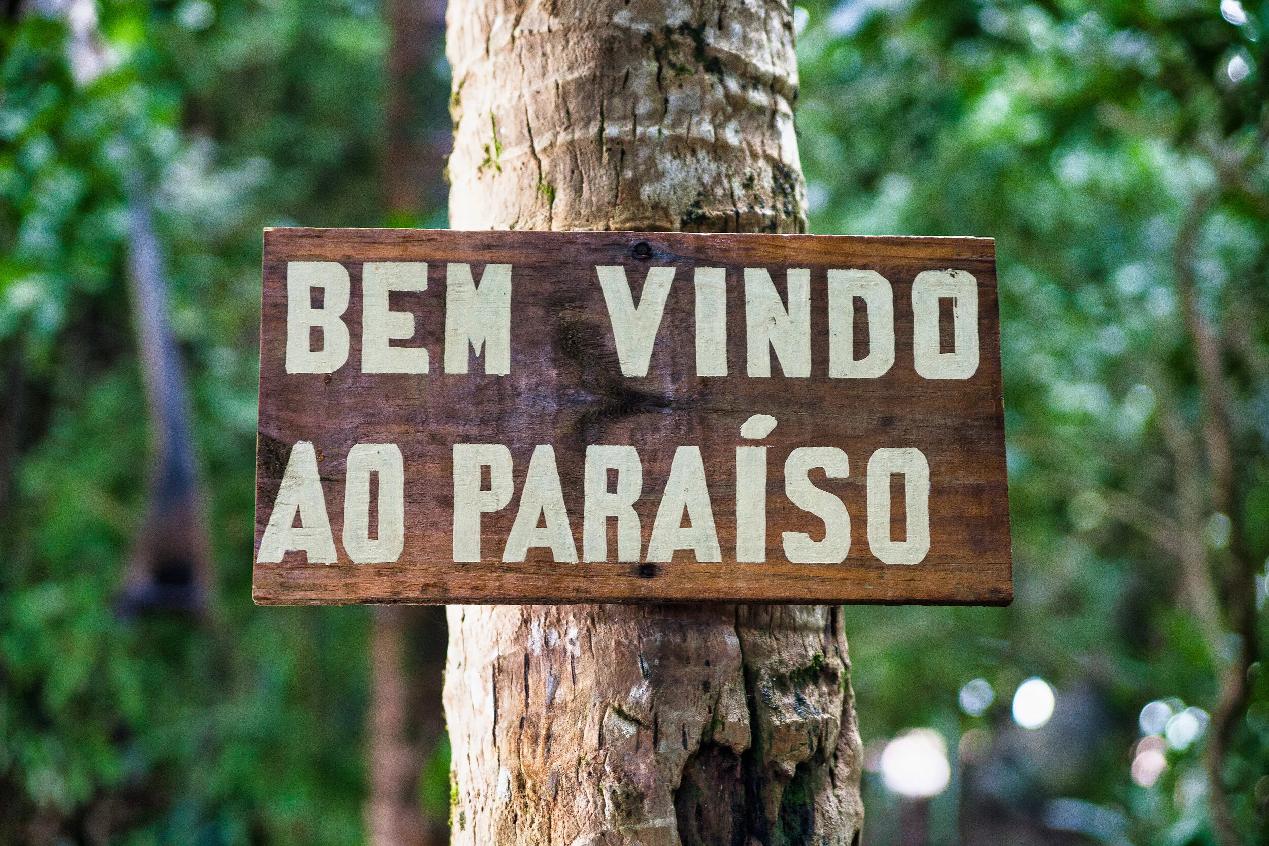 Ilha da Pedra furada_Bahia-678.jpeg