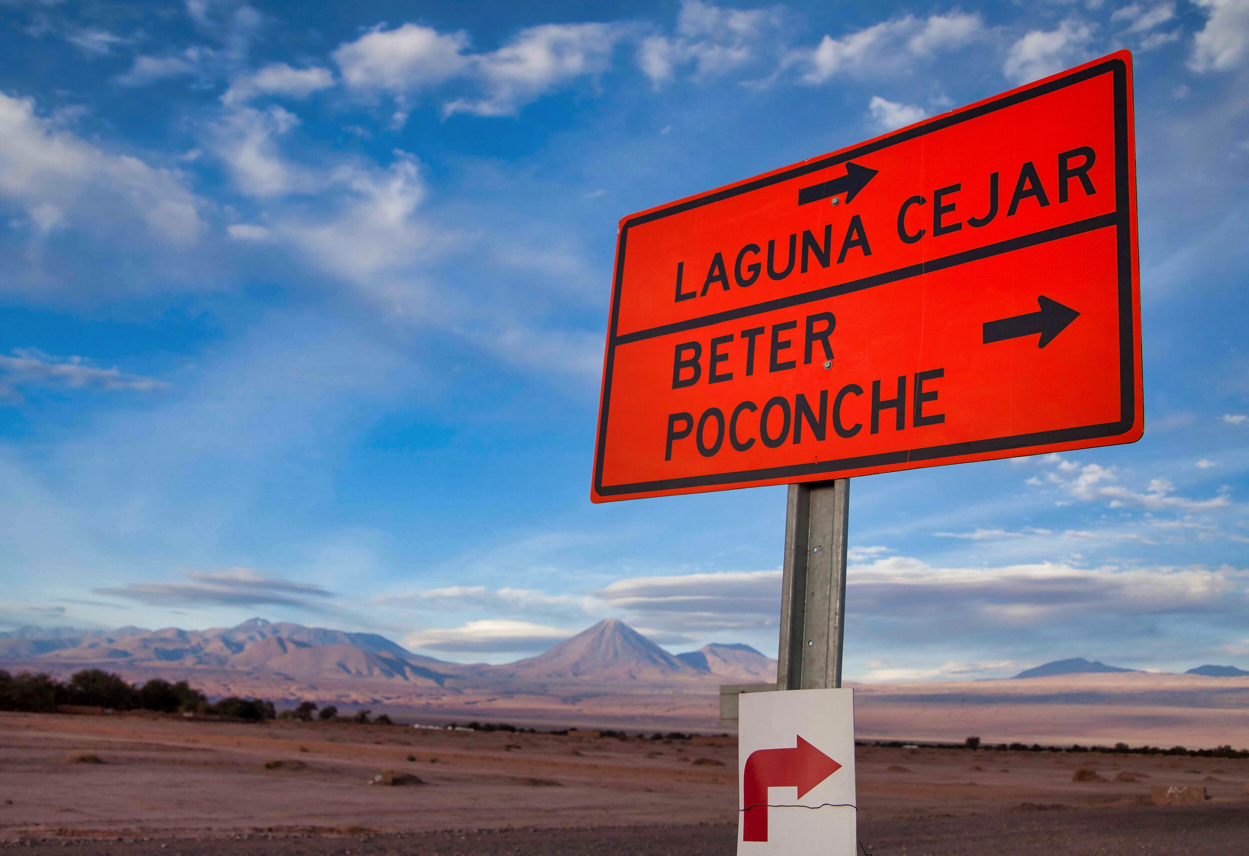 Laguna Cejar_Atacama-1751.jpeg