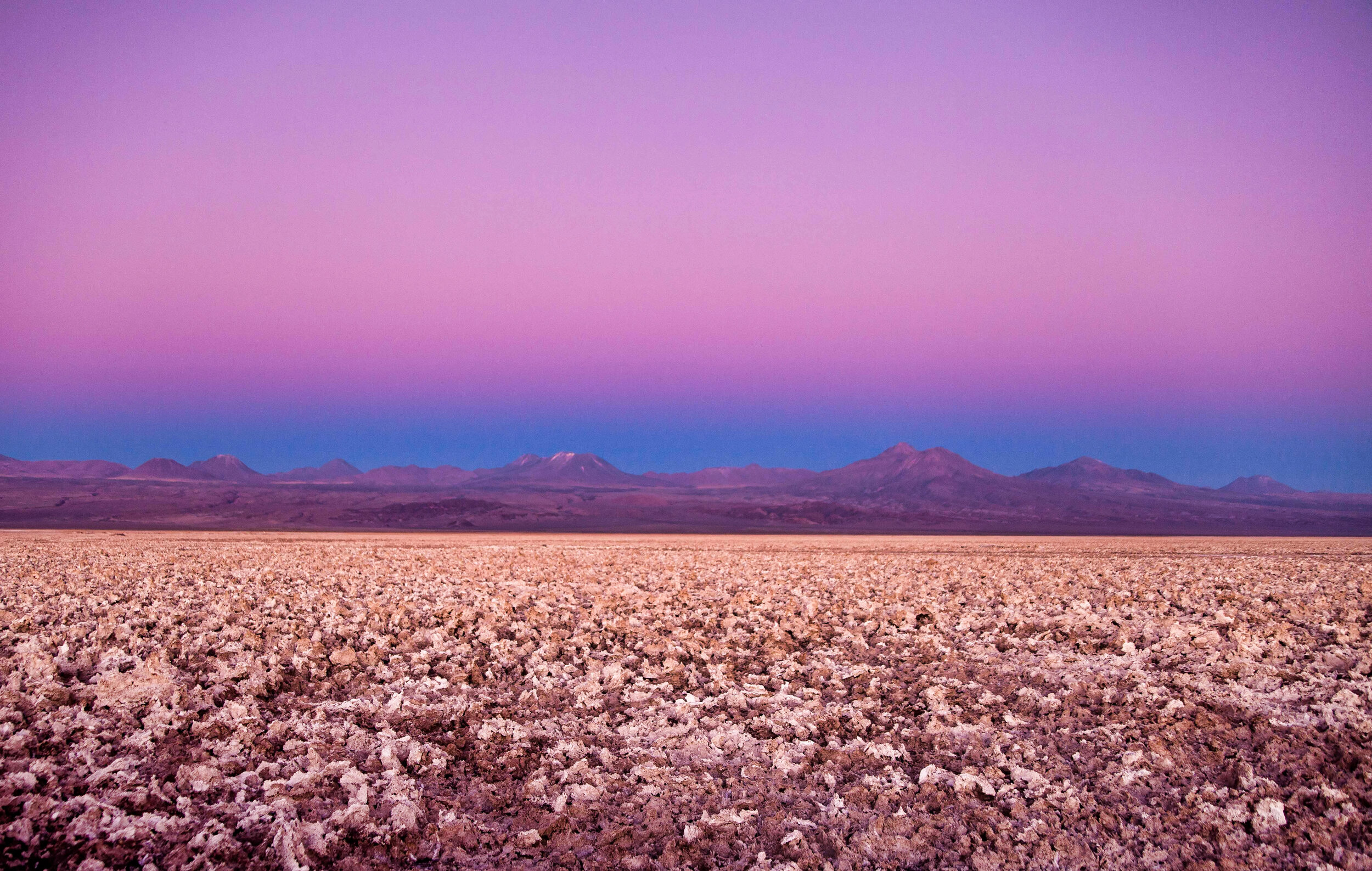 Salar do Atacama-457.jpeg