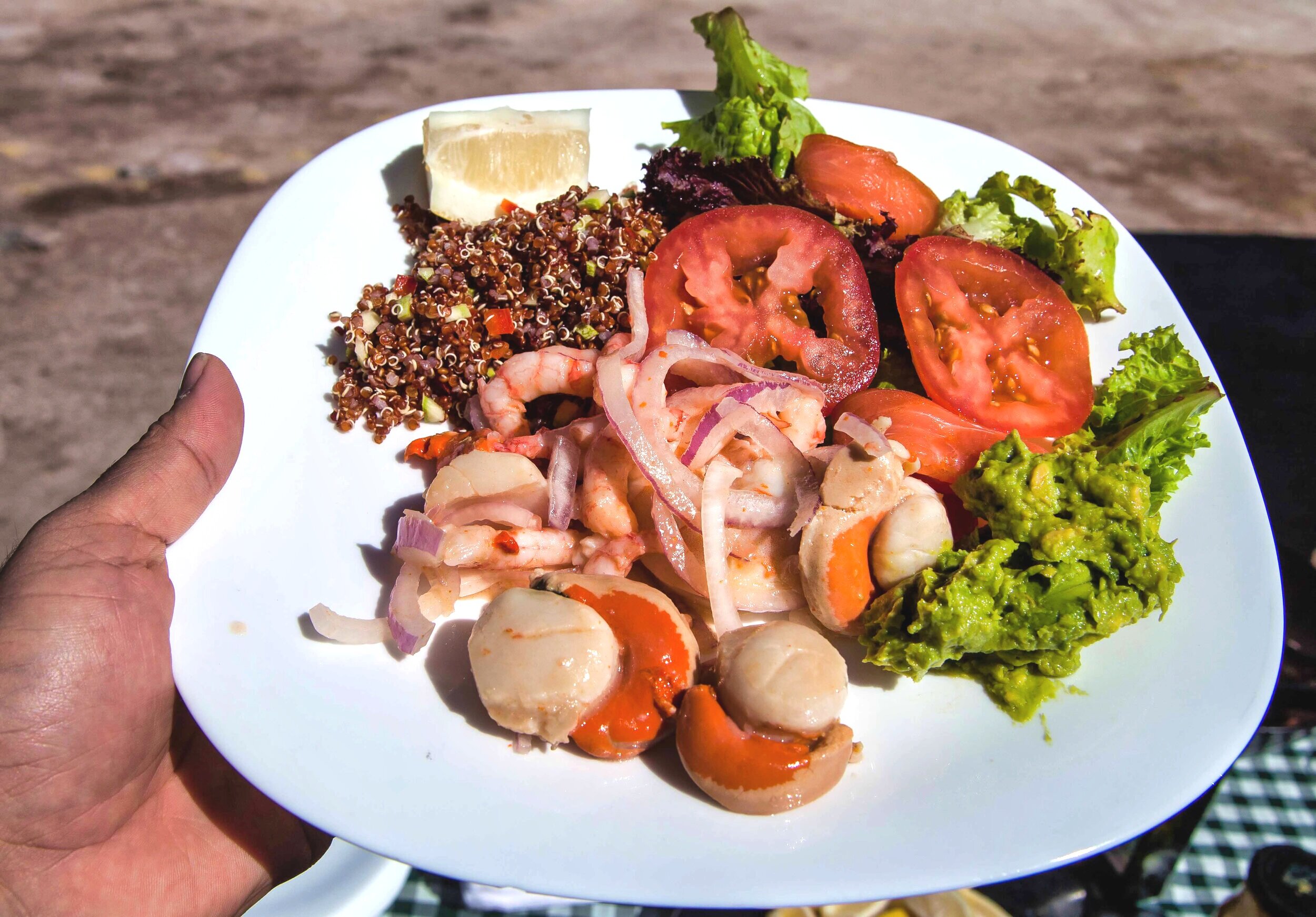 Lunch at Laguna Antiplanica